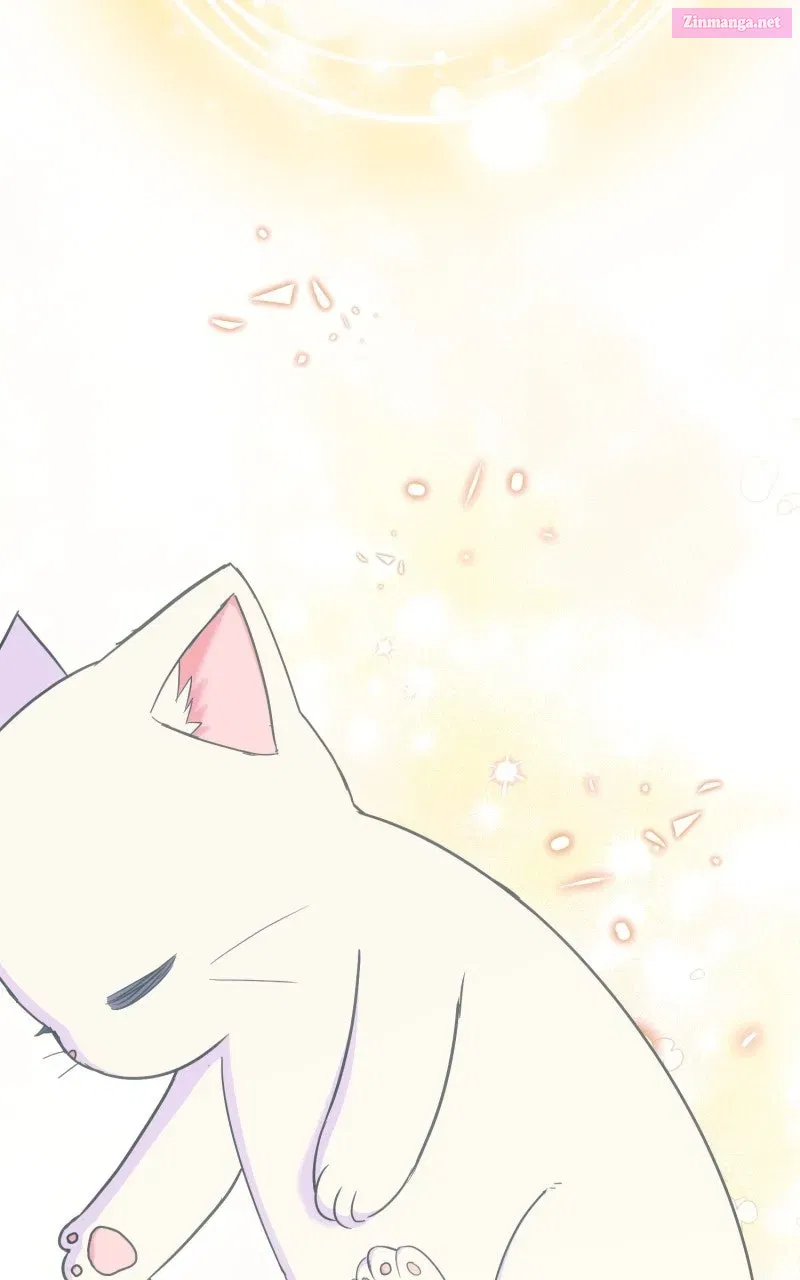 The Possessive Tyrantand His Sleepy Cat Chapter 15 page 64 - 