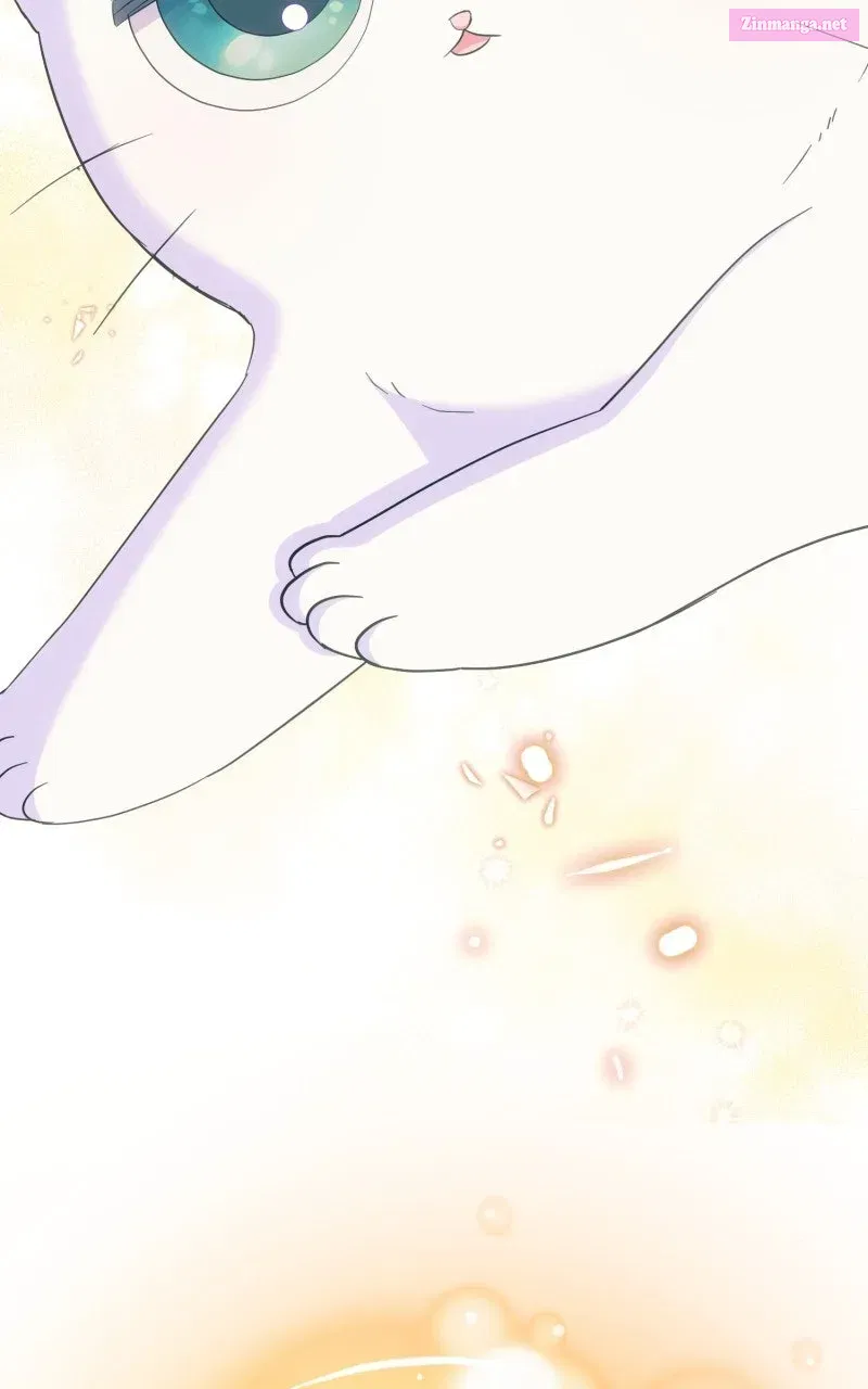 The Possessive Tyrantand His Sleepy Cat Chapter 15 page 68 - 