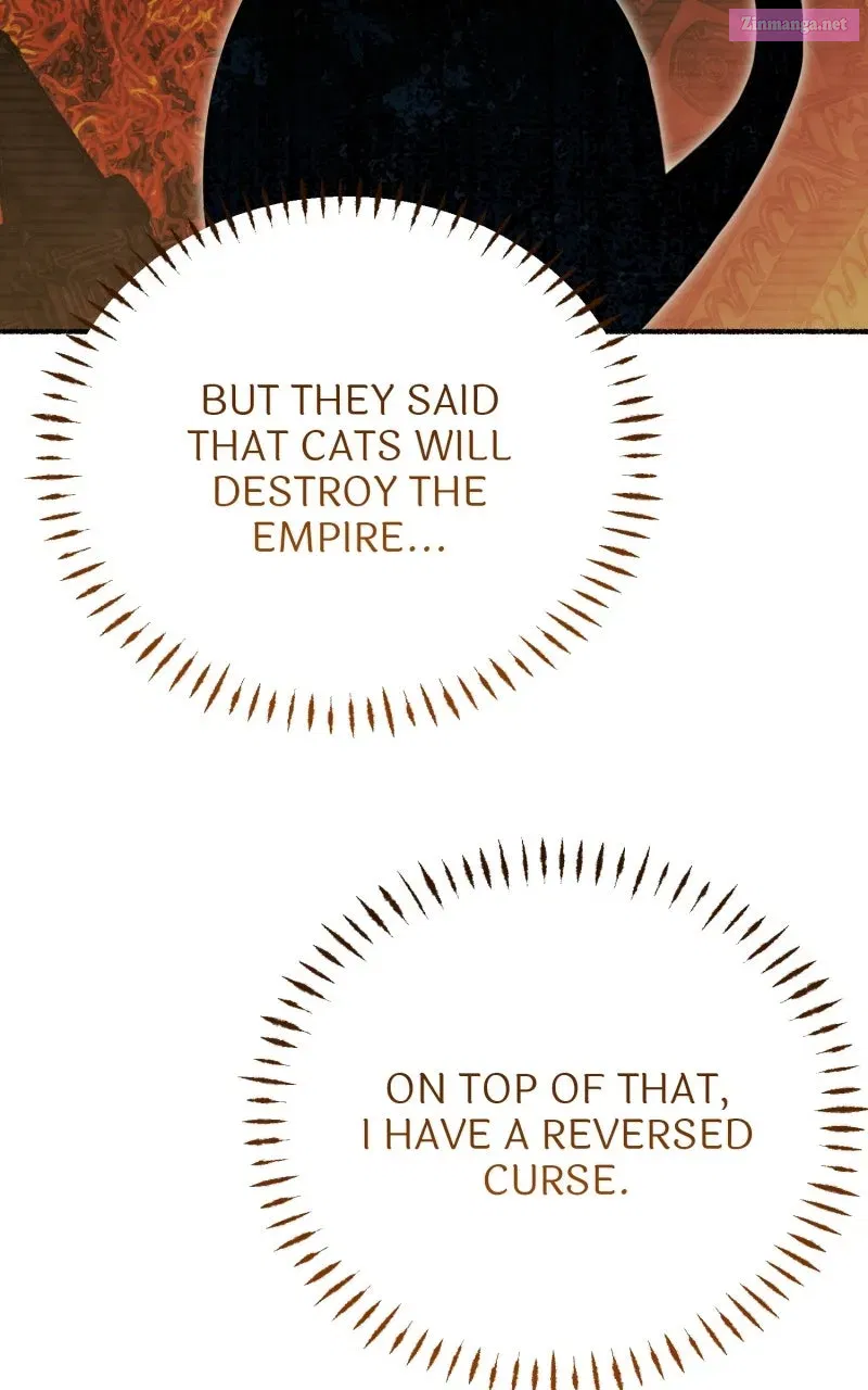 The Possessive Tyrantand His Sleepy Cat Chapter 15 page 72 - 