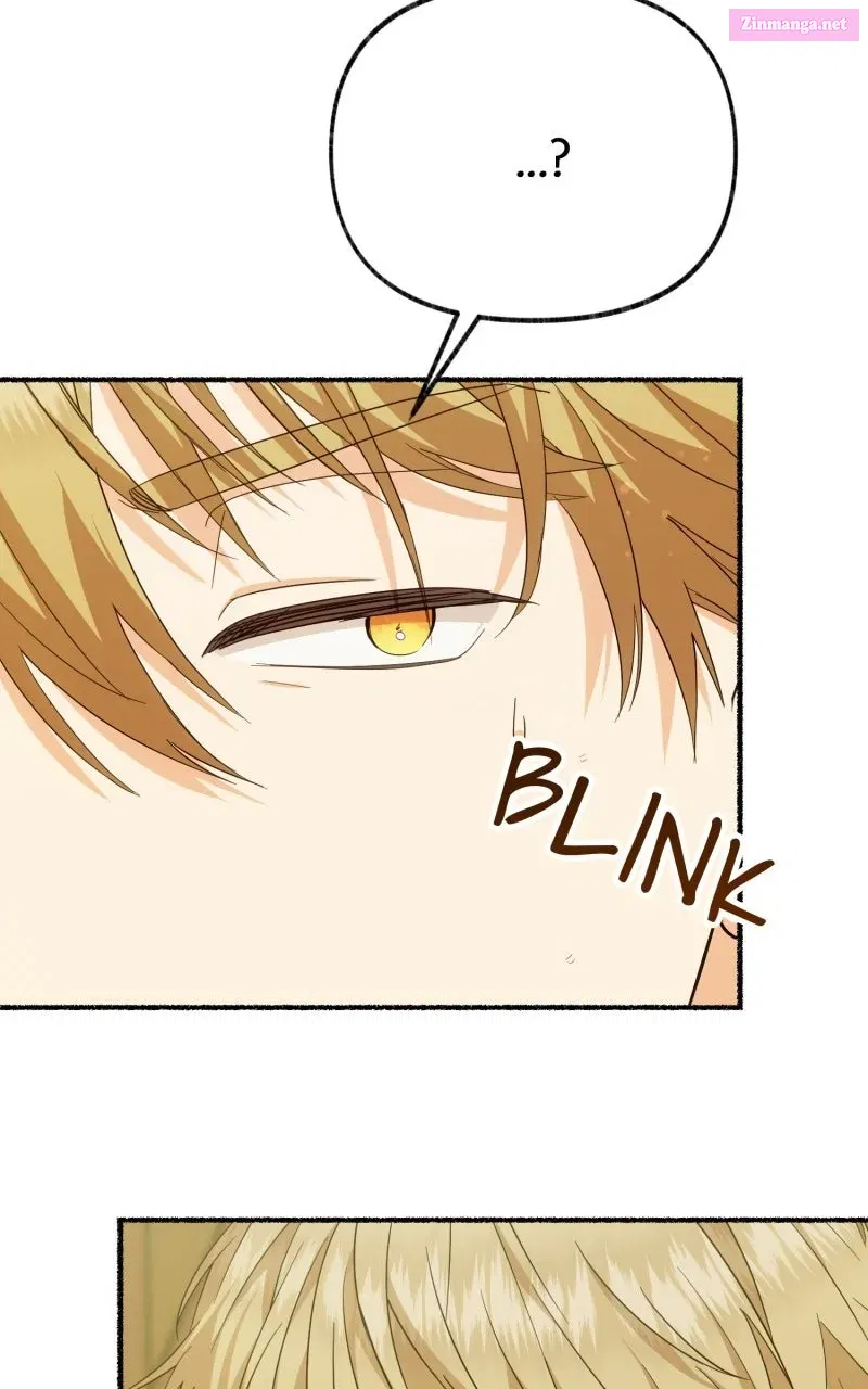 The Possessive Tyrantand His Sleepy Cat Chapter 16 page 40 - 