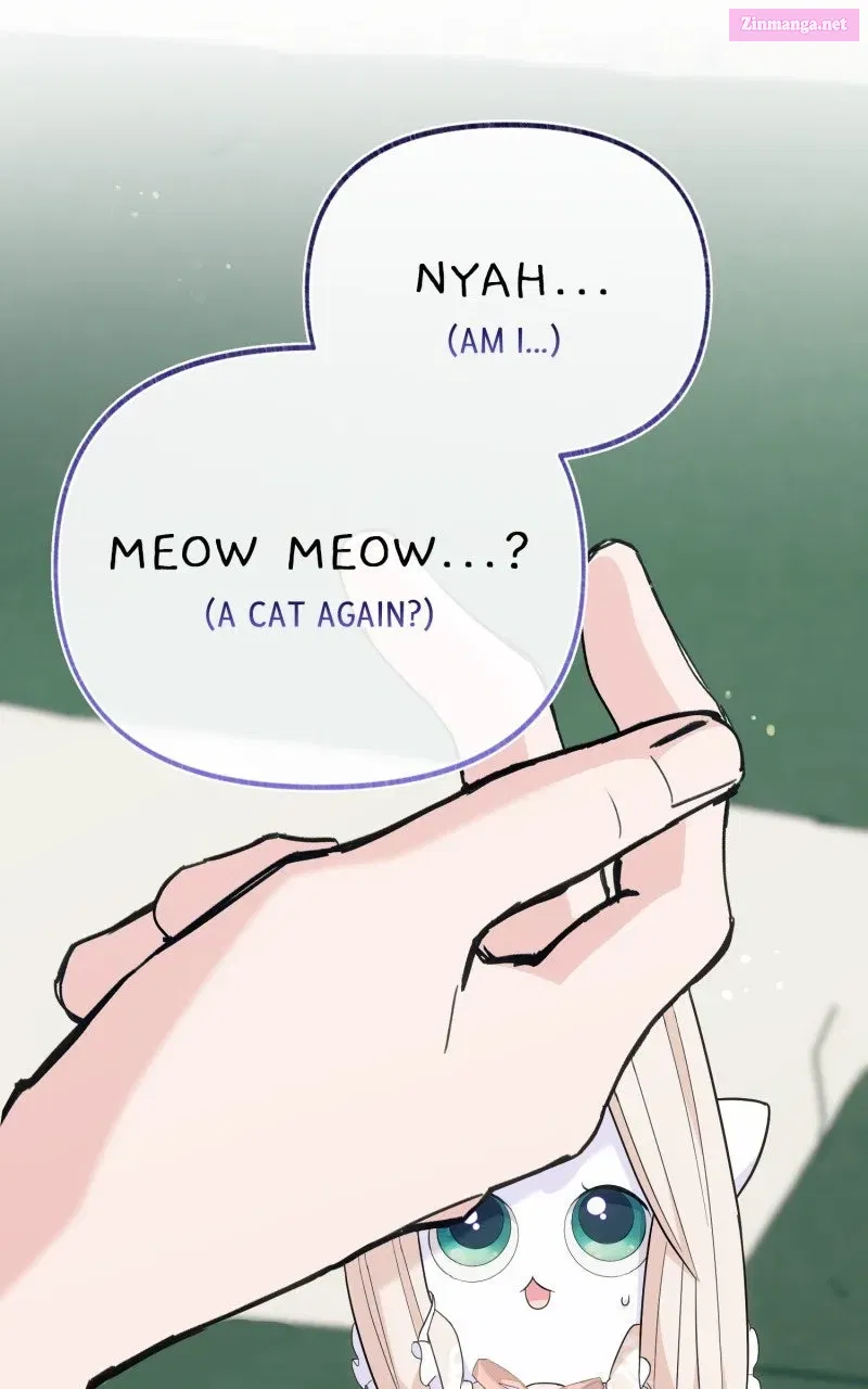 The Possessive Tyrantand His Sleepy Cat Chapter 17 page 97 - 