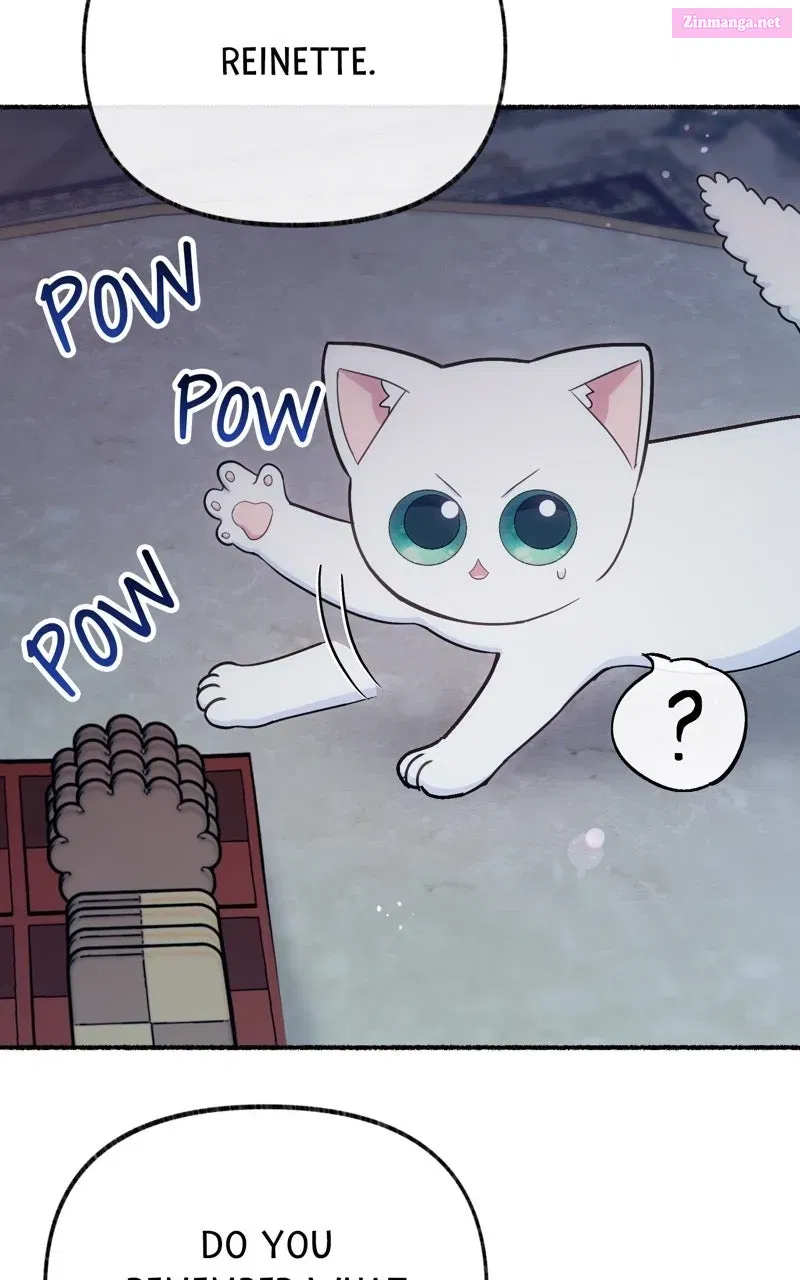 The Possessive Tyrantand His Sleepy Cat Chapter 19 page 12 - 