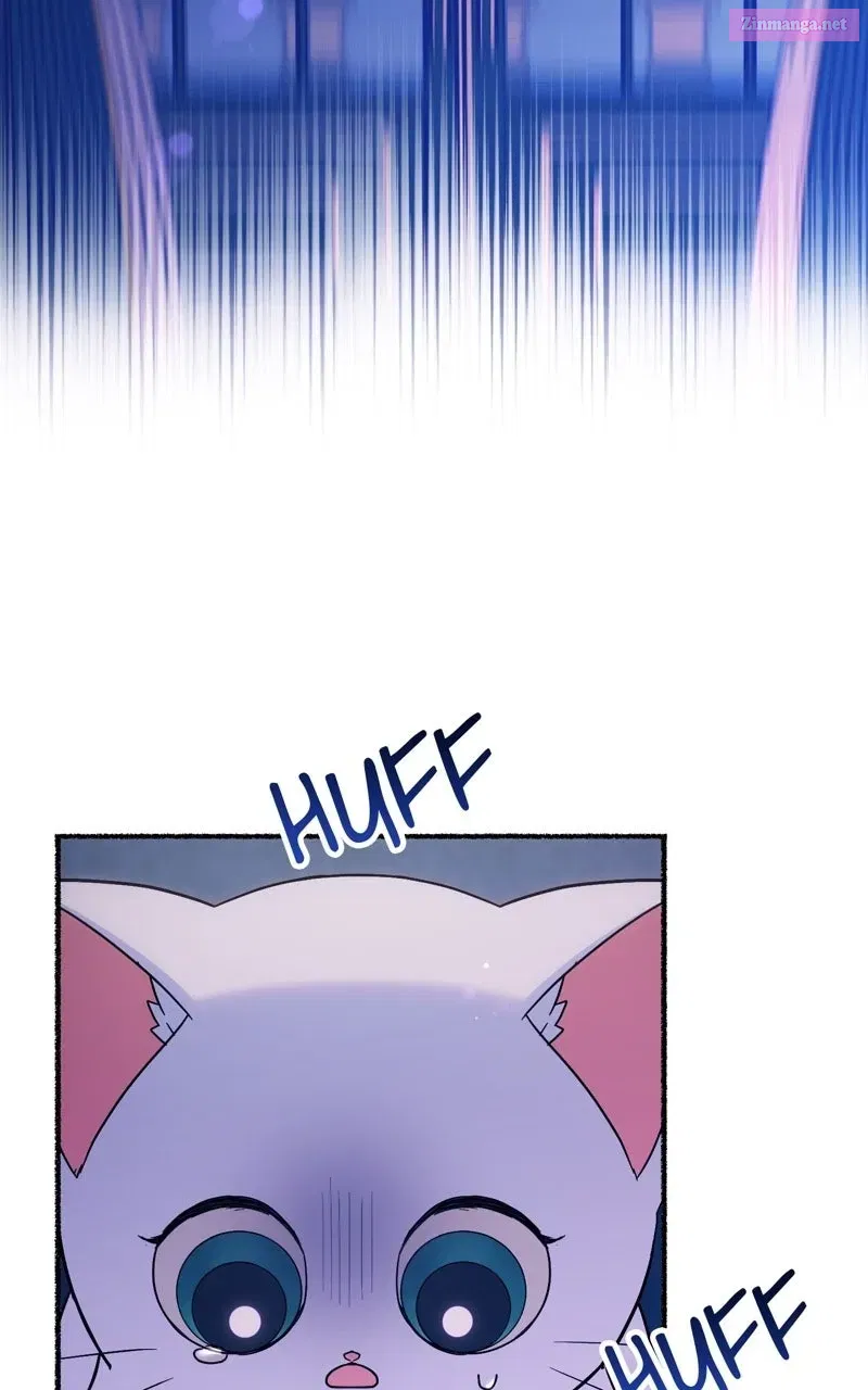 The Possessive Tyrantand His Sleepy Cat Chapter 19 page 47 - 
