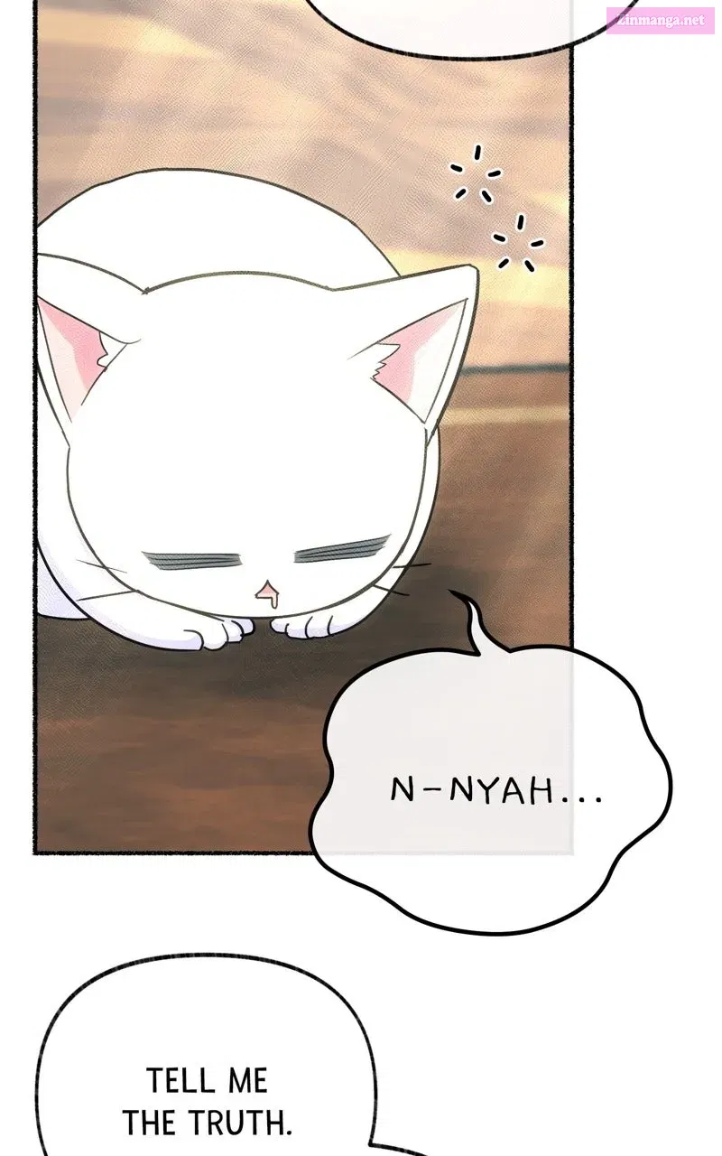 The Possessive Tyrantand His Sleepy Cat Chapter 19 page 68 - 