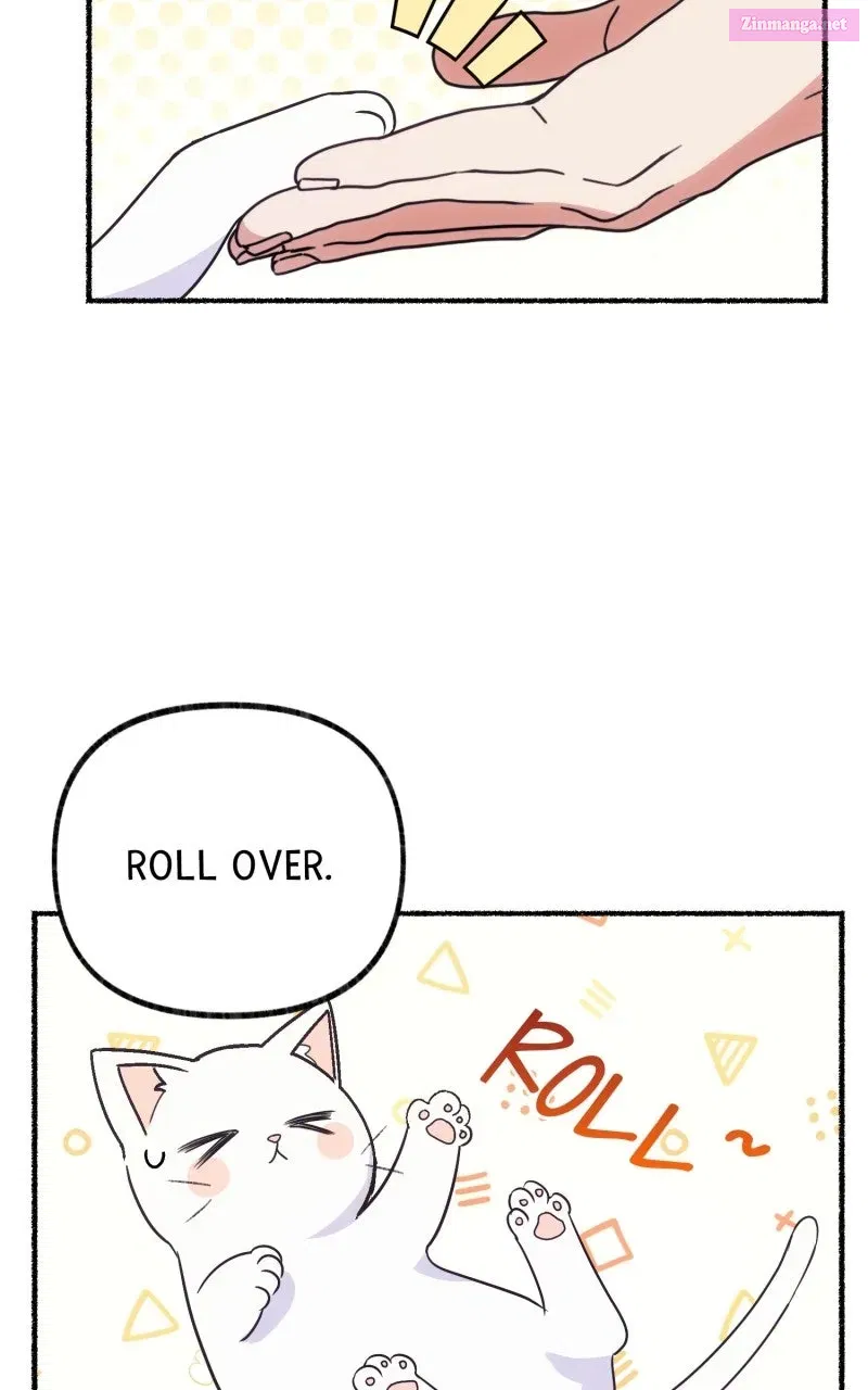 The Possessive Tyrantand His Sleepy Cat Chapter 2 page 4 - 