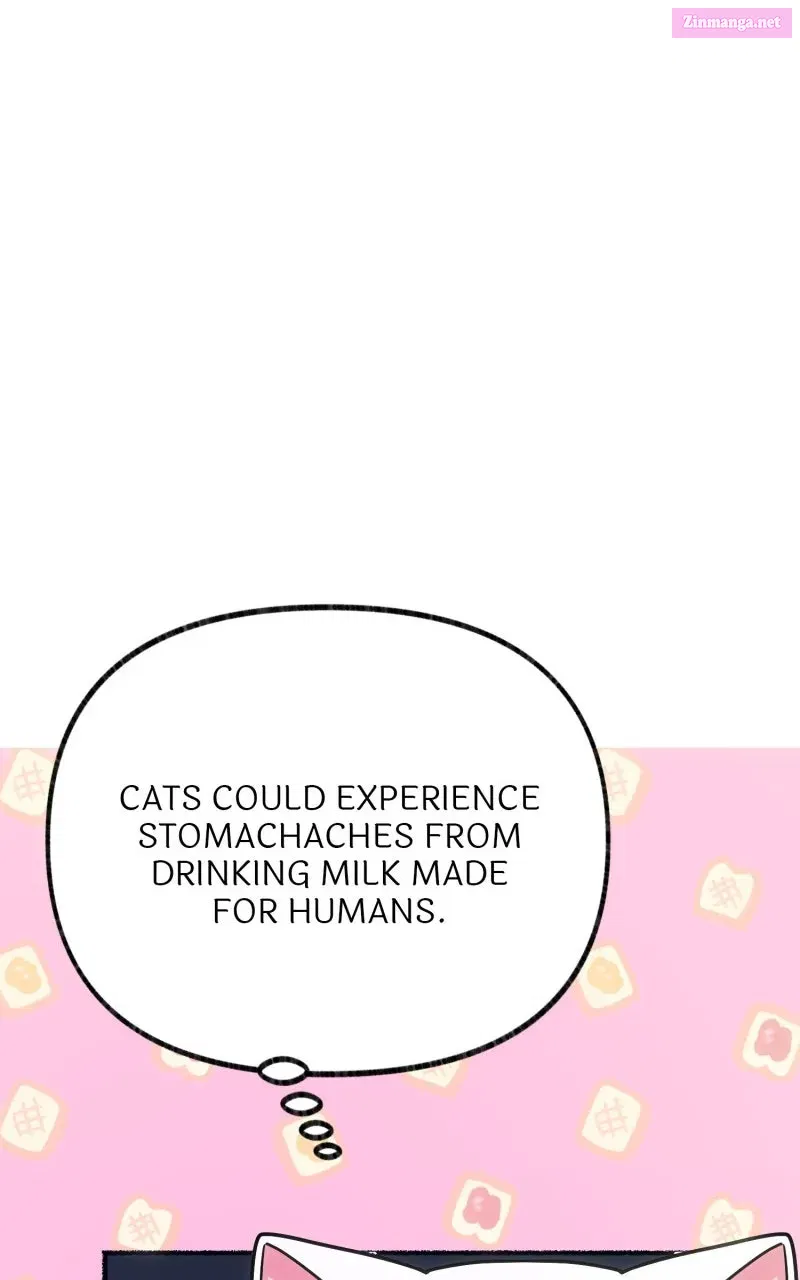 The Possessive Tyrantand His Sleepy Cat Chapter 2 page 34 - 