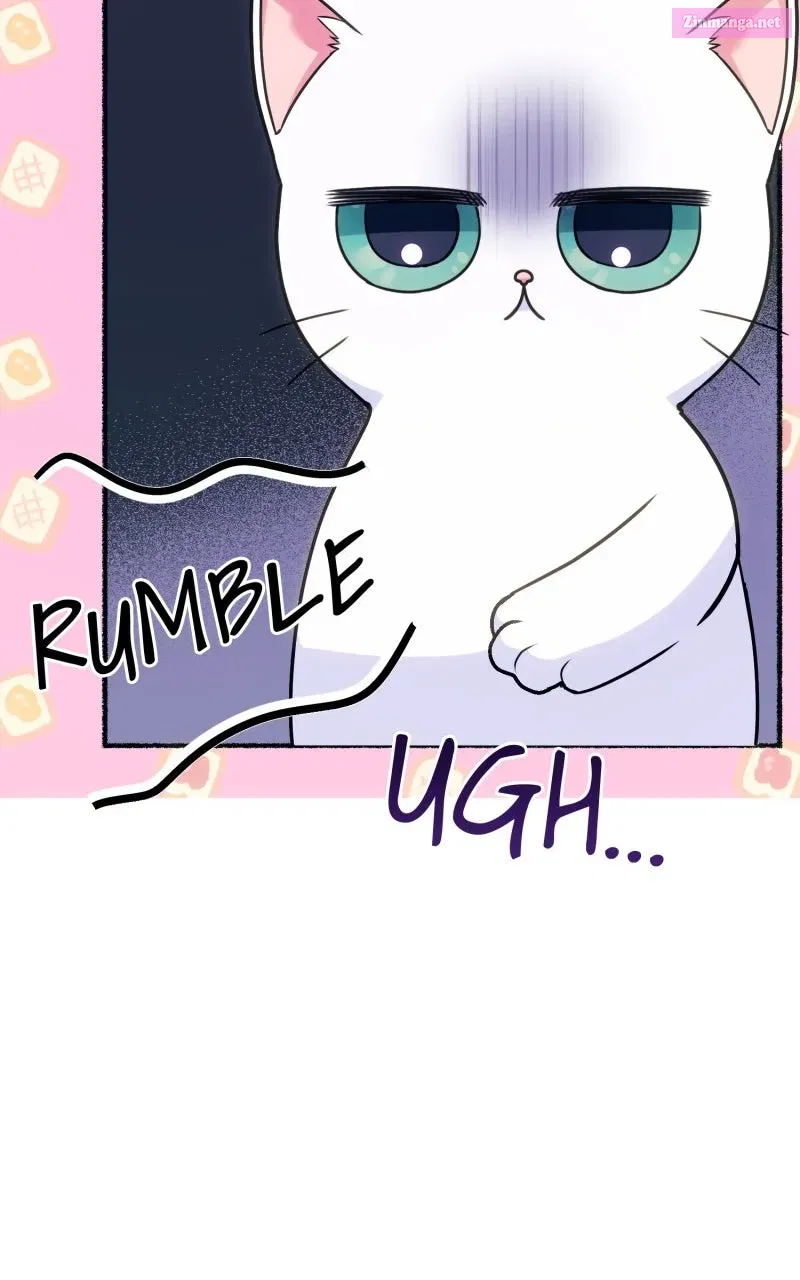 The Possessive Tyrantand His Sleepy Cat Chapter 2 page 35 - 