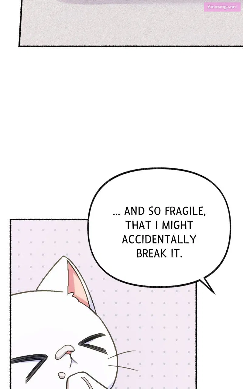 The Possessive Tyrantand His Sleepy Cat Chapter 2 page 43 - 