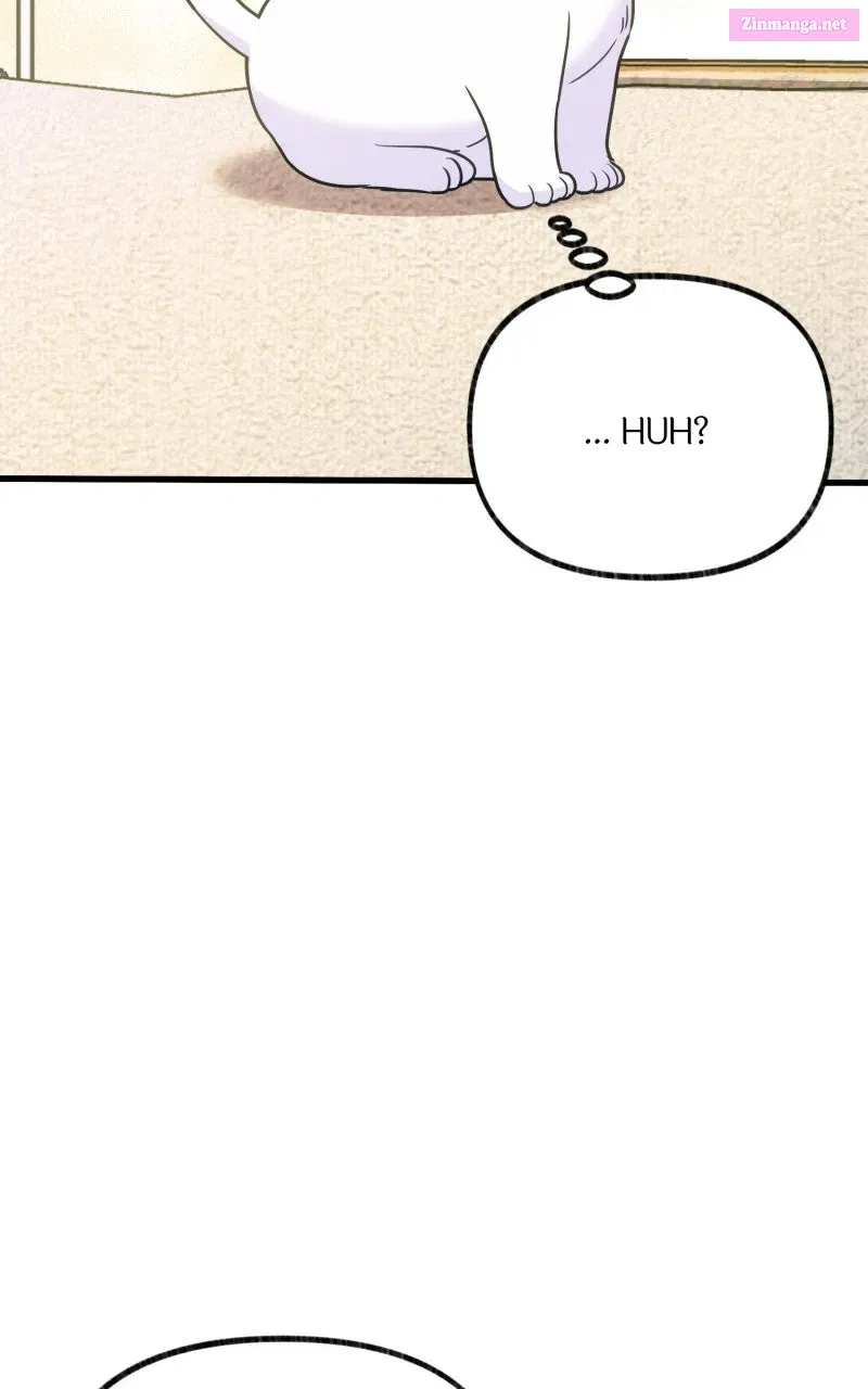 The Possessive Tyrantand His Sleepy Cat Chapter 3 page 12 - 