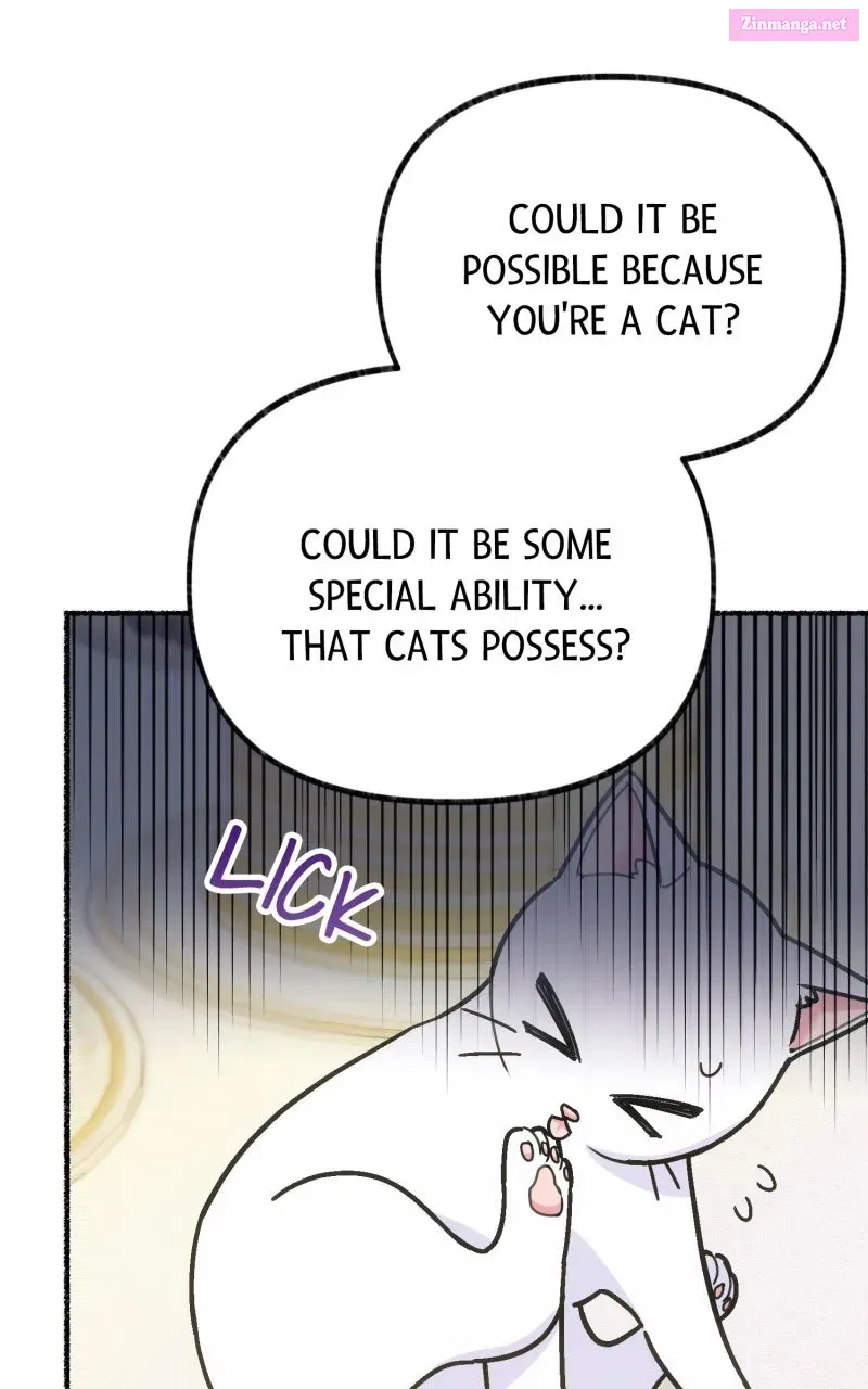 The Possessive Tyrantand His Sleepy Cat Chapter 3 page 47 - 