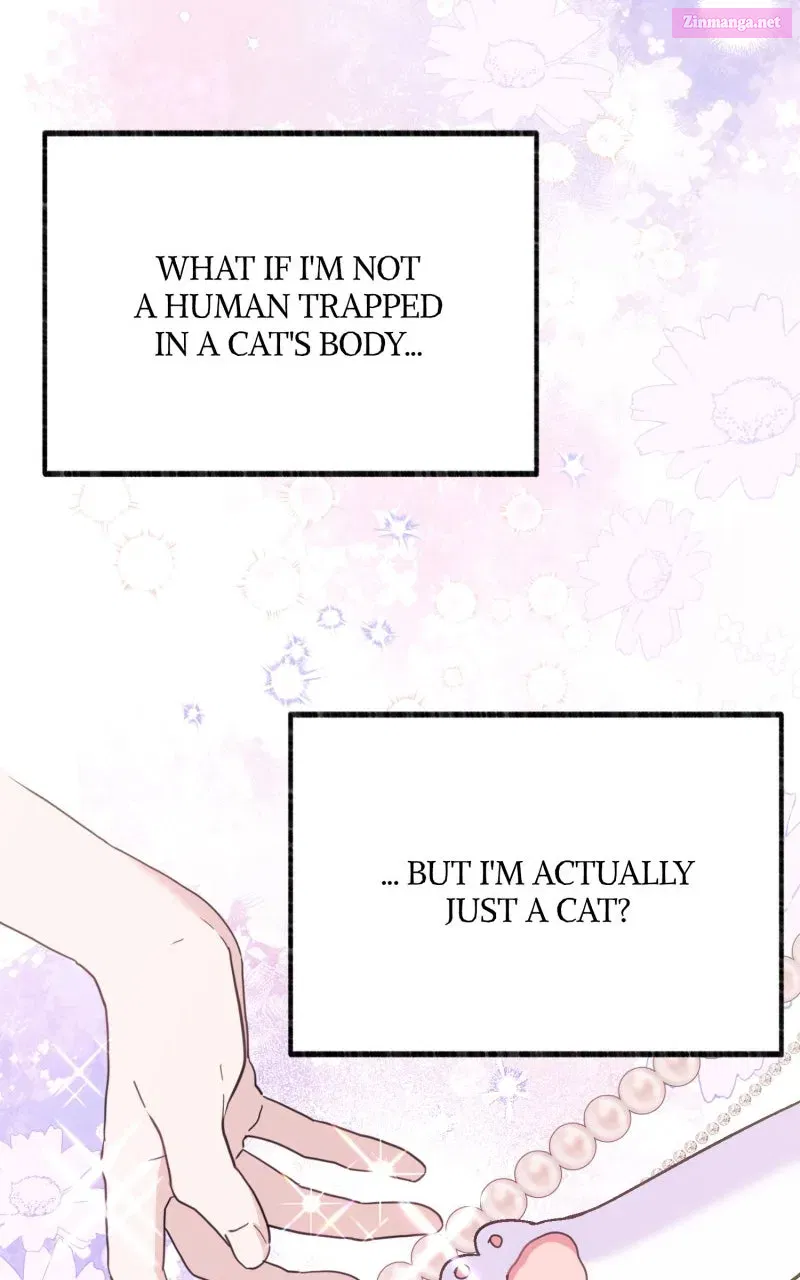 The Possessive Tyrantand His Sleepy Cat Chapter 3 page 49 - 