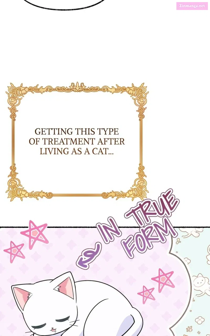 The Possessive Tyrantand His Sleepy Cat Chapter 31 page 38 - 