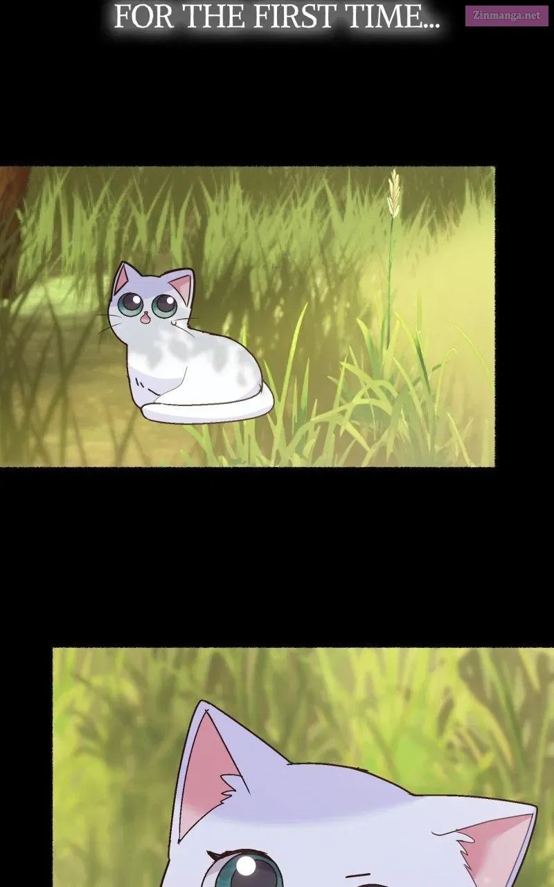 The Possessive Tyrantand His Sleepy Cat Chapter 4 page 13 - 
