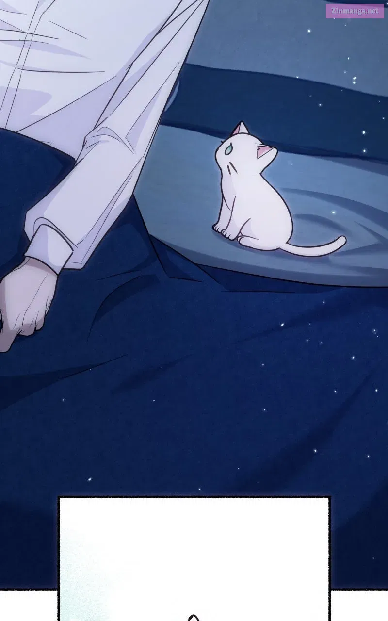 The Possessive Tyrantand His Sleepy Cat Chapter 4 page 63 - 