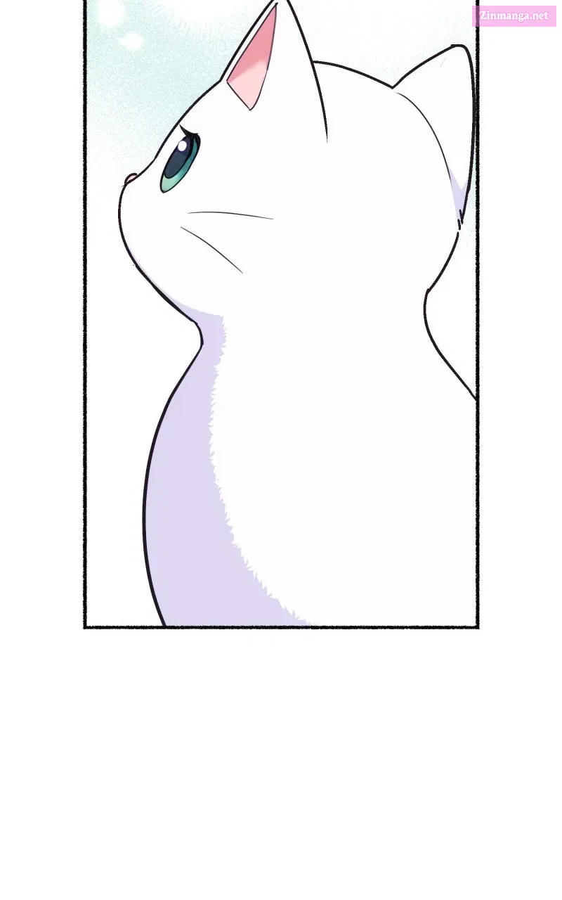 The Possessive Tyrantand His Sleepy Cat Chapter 4 page 64 - 