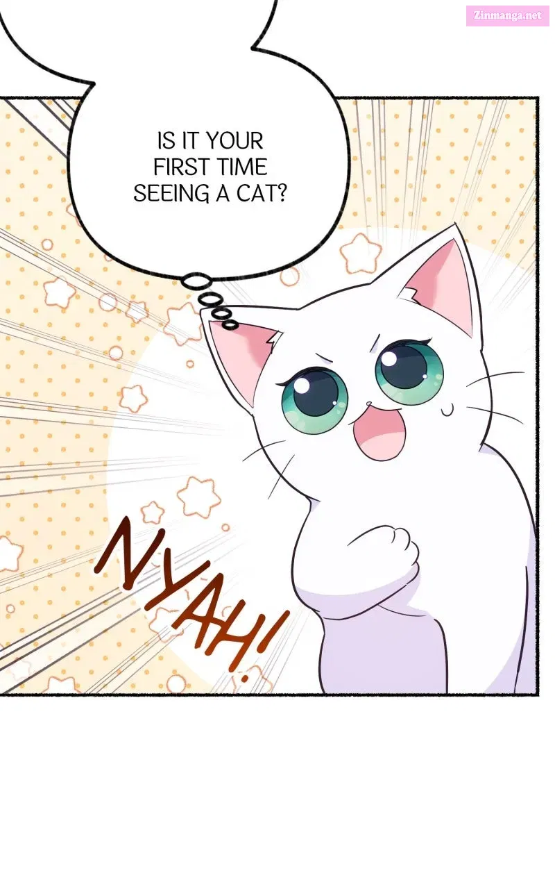 The Possessive Tyrantand His Sleepy Cat Chapter 4 page 71 - 
