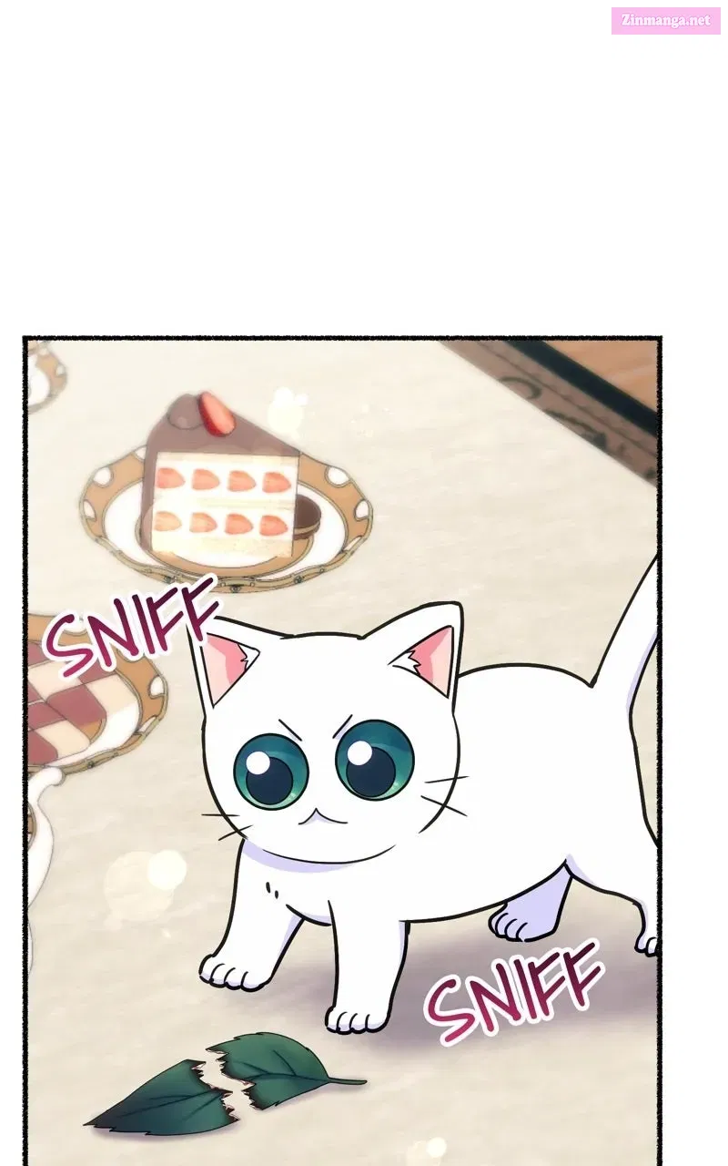 The Possessive Tyrantand His Sleepy Cat Chapter 49 page 65 - 