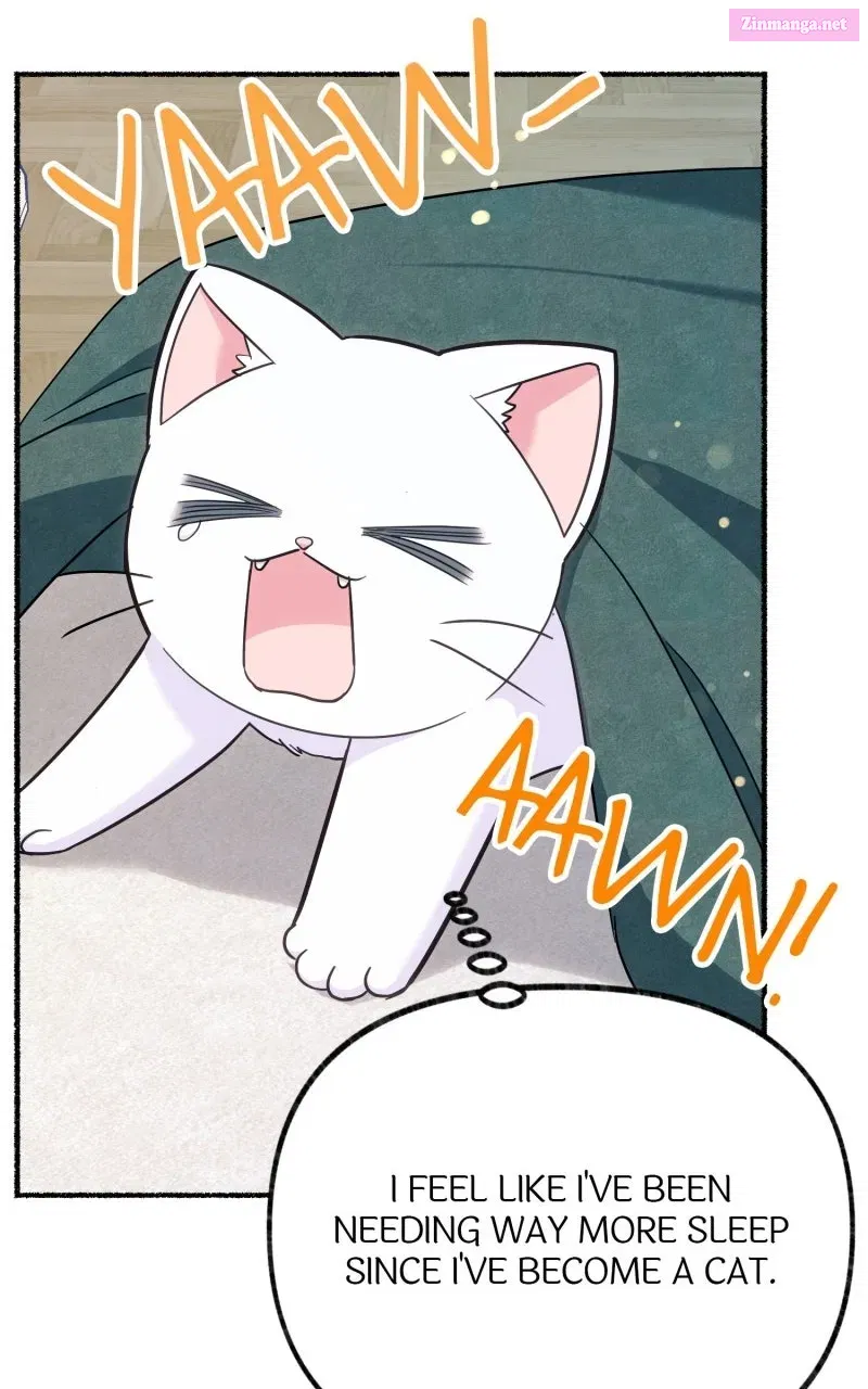 The Possessive Tyrantand His Sleepy Cat Chapter 5 page 32 - 