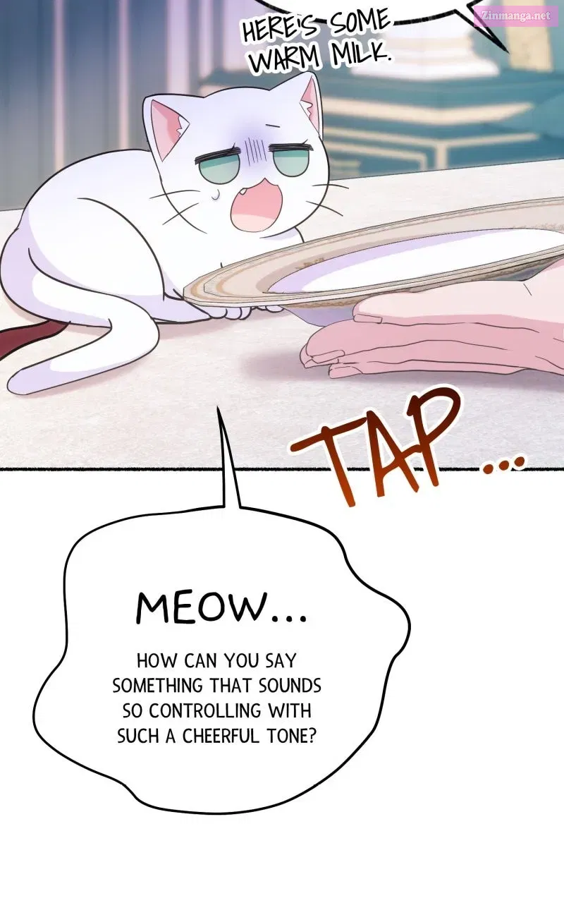 The Possessive Tyrantand His Sleepy Cat Chapter 5 page 41 - 