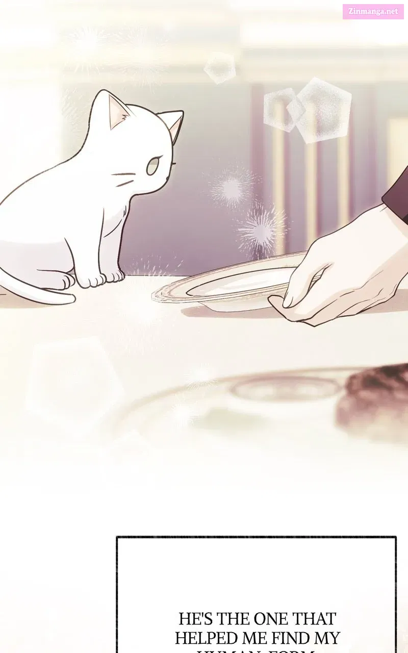 The Possessive Tyrantand His Sleepy Cat Chapter 52 page 86 - 