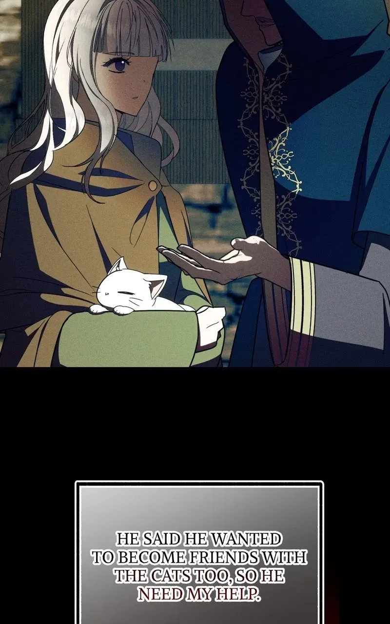 The Possessive Tyrantand His Sleepy Cat Chapter 63 page 47 - 