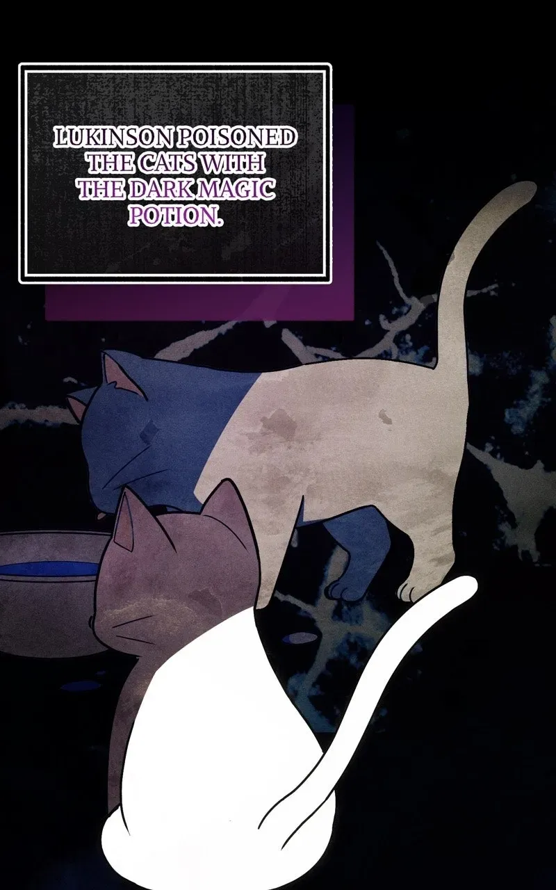 The Possessive Tyrantand His Sleepy Cat Chapter 63 page 53 - 