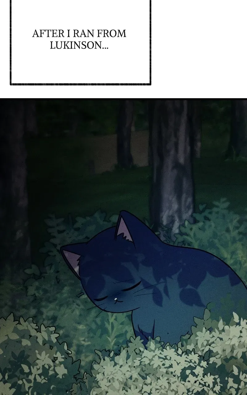 The Possessive Tyrantand His Sleepy Cat Chapter 64 page 19 - 