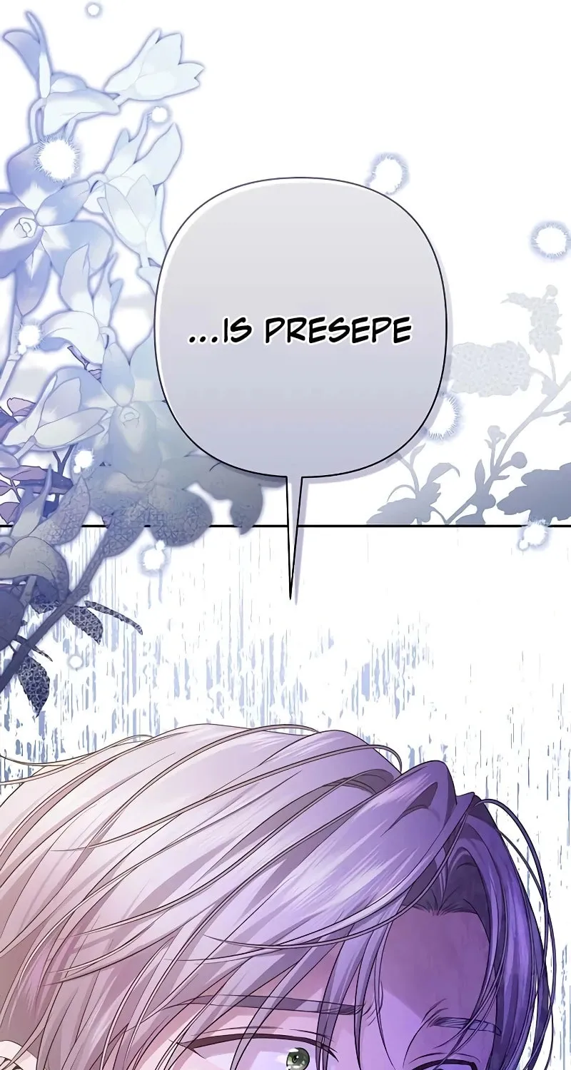 The Presepe Outside the Cage Chapter 13 page 61 - 