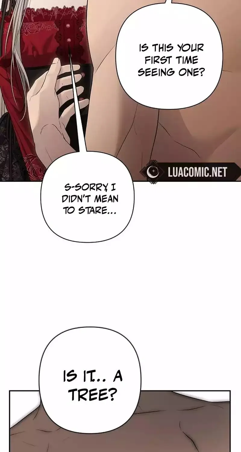 The Presepe Outside the Cage Chapter 18 page 102 - 