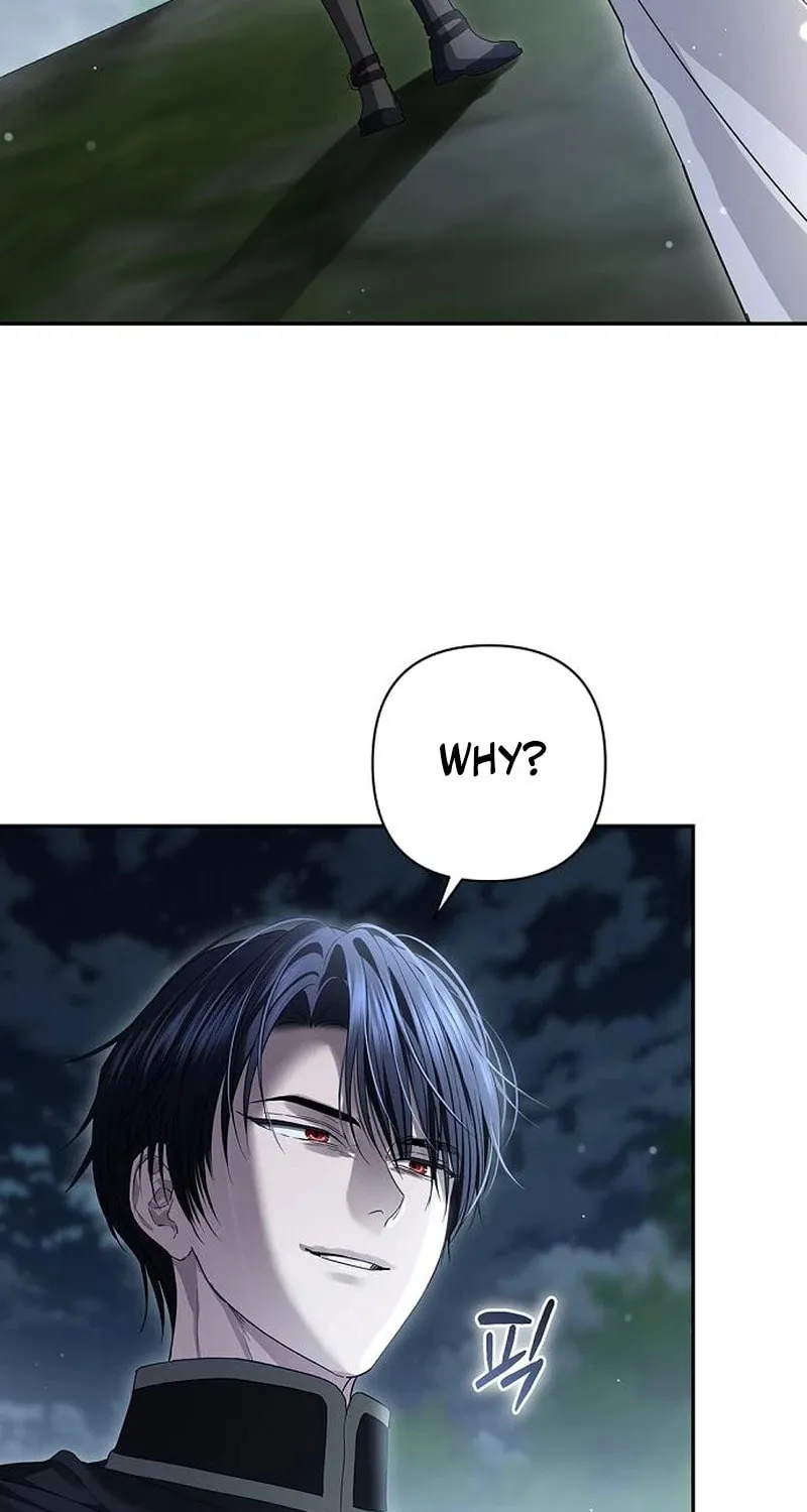 The Presepe Outside the Cage Chapter 32 page 27 - 