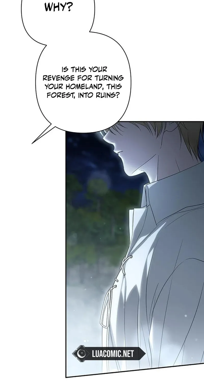 The Presepe Outside the Cage Chapter 32 page 40 - 