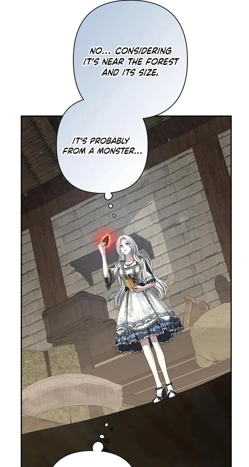 The Presepe Outside the Cage Chapter 37 page 58 - 