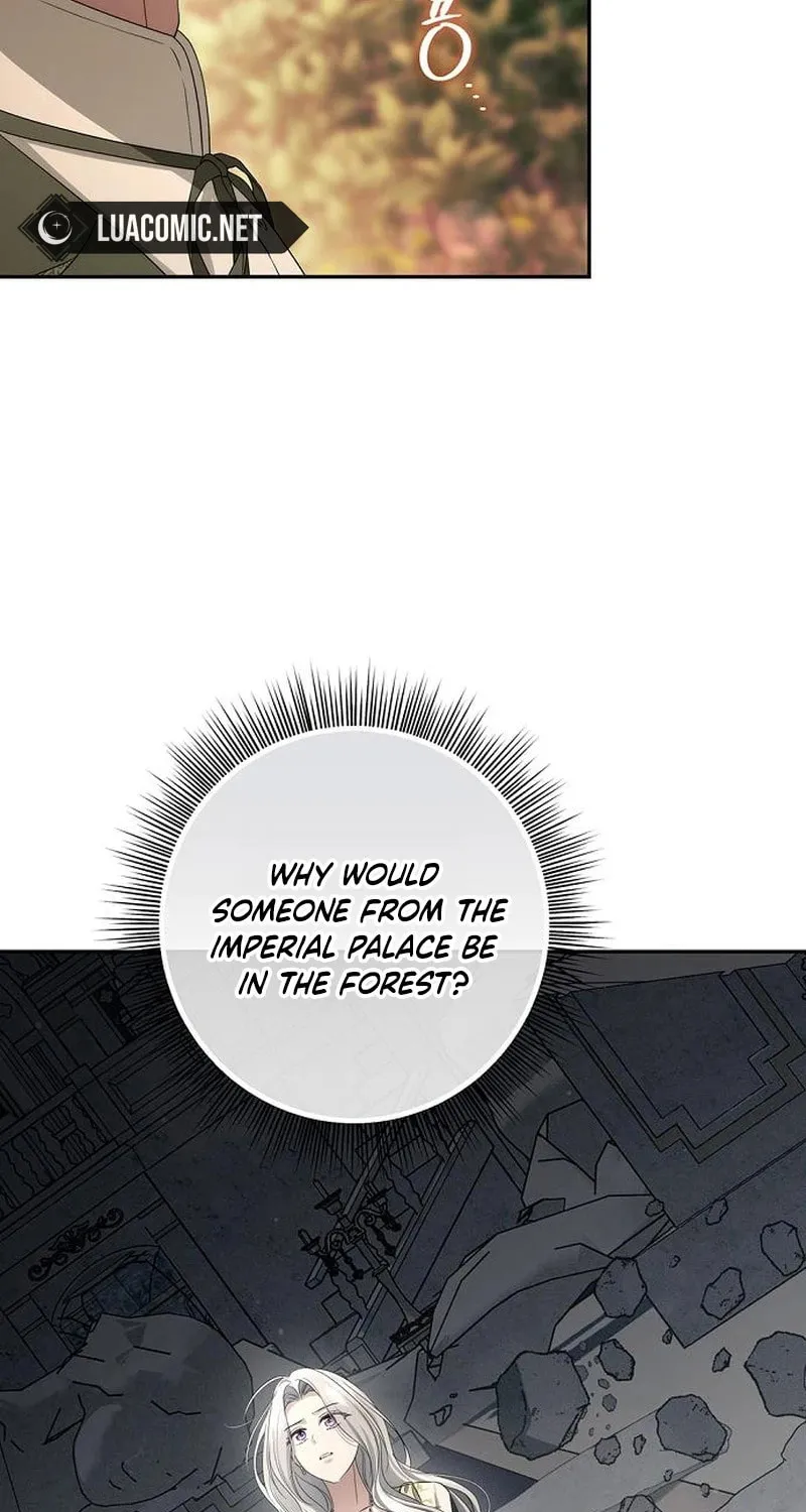 The Presepe Outside the Cage Chapter 38 page 77 - 