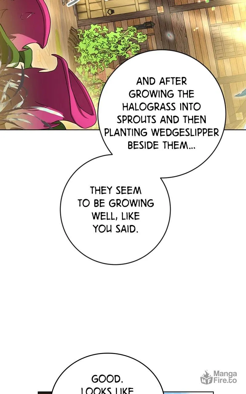 The Price Is Your Everything Chapter 49 page 33 - 