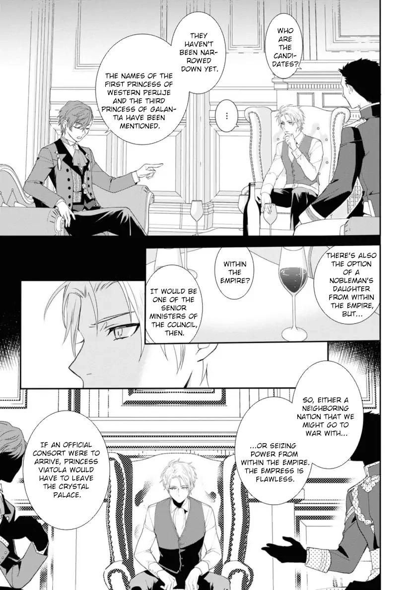 The Pride of the Temporary Consort: The Flower Blooming in the Imperial Palace Wishes for the Future. Chapter 9 page 19 - 