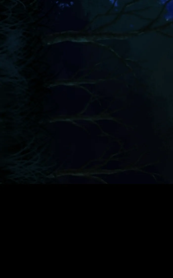 The Primal Hunter Chapter 105 page 125 - 