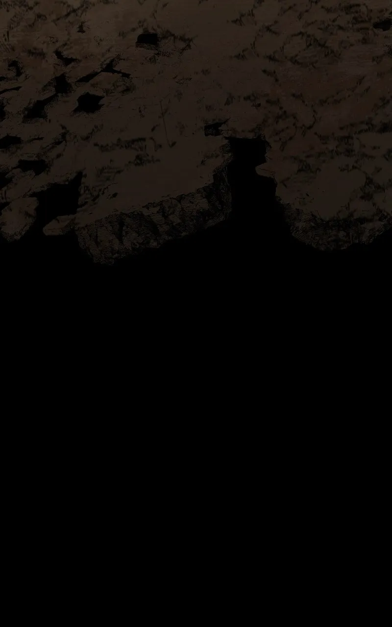 The Primal Hunter Chapter 49 page 66 - 