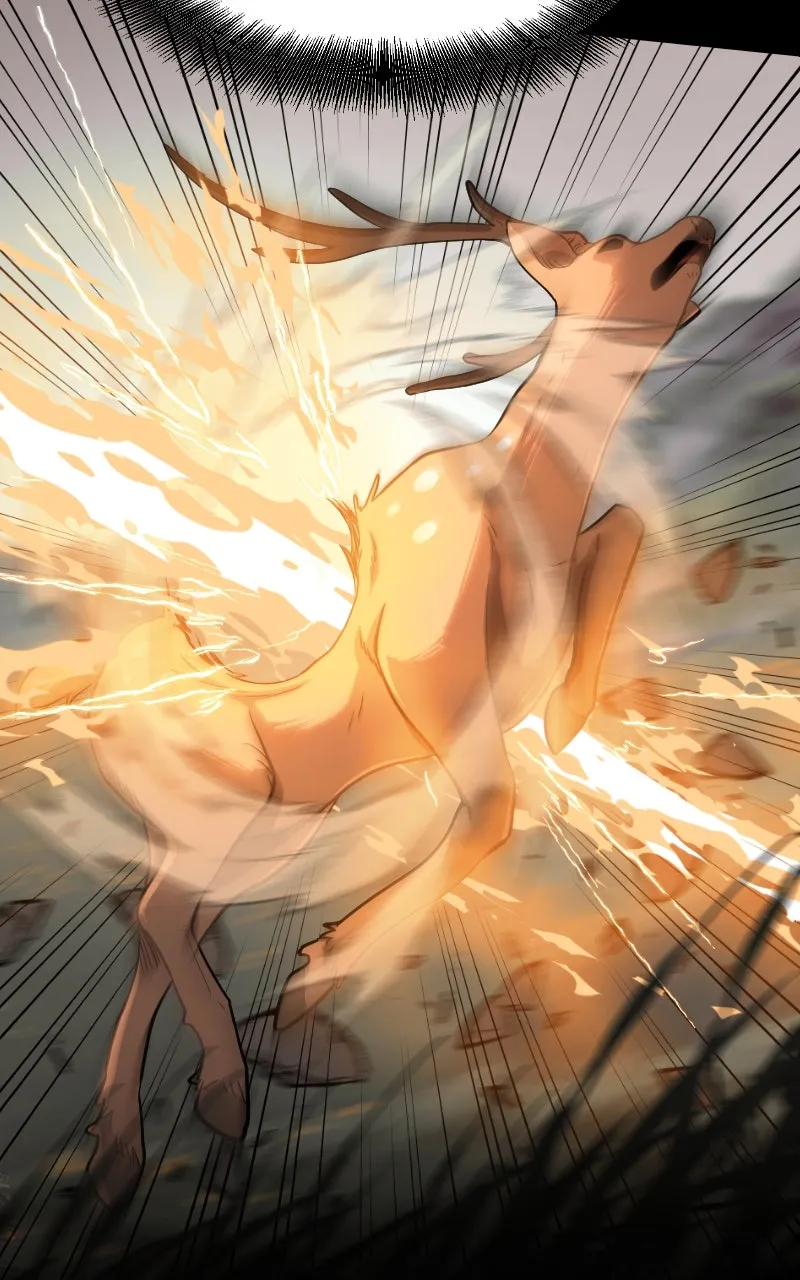 The Primal Hunter Chapter 50 page 101 - 