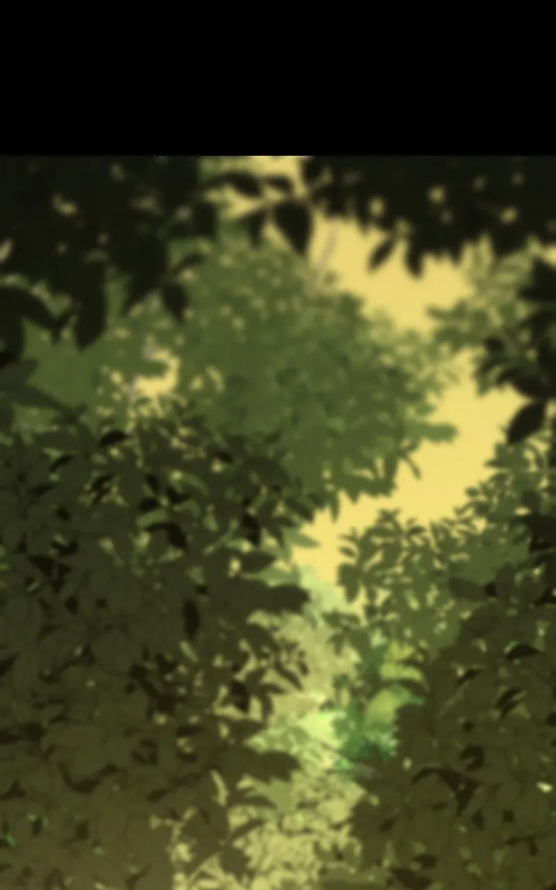 The Primal Hunter Chapter 57 page 132 - 