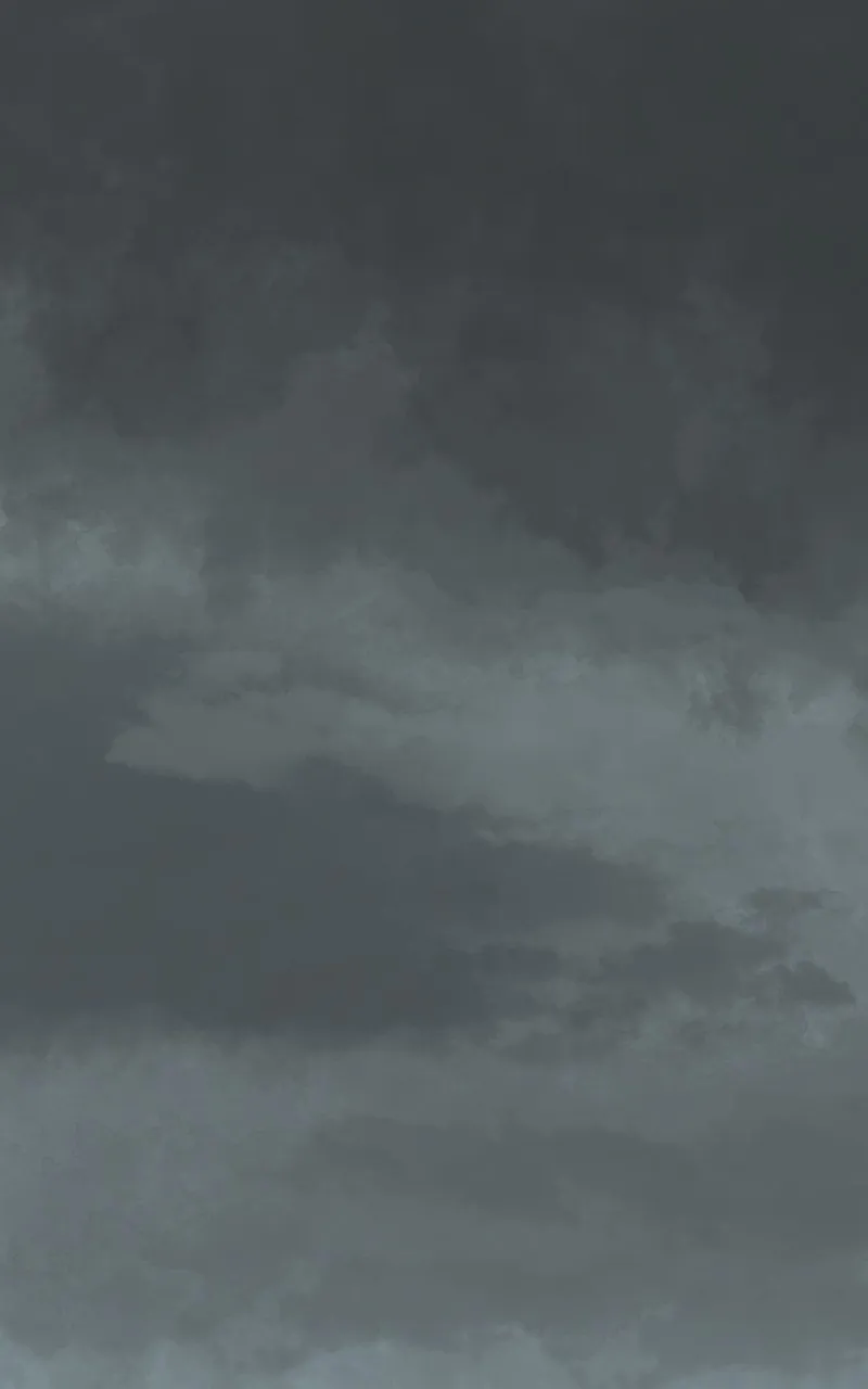 The Primal Hunter Chapter 71 page 1 - 