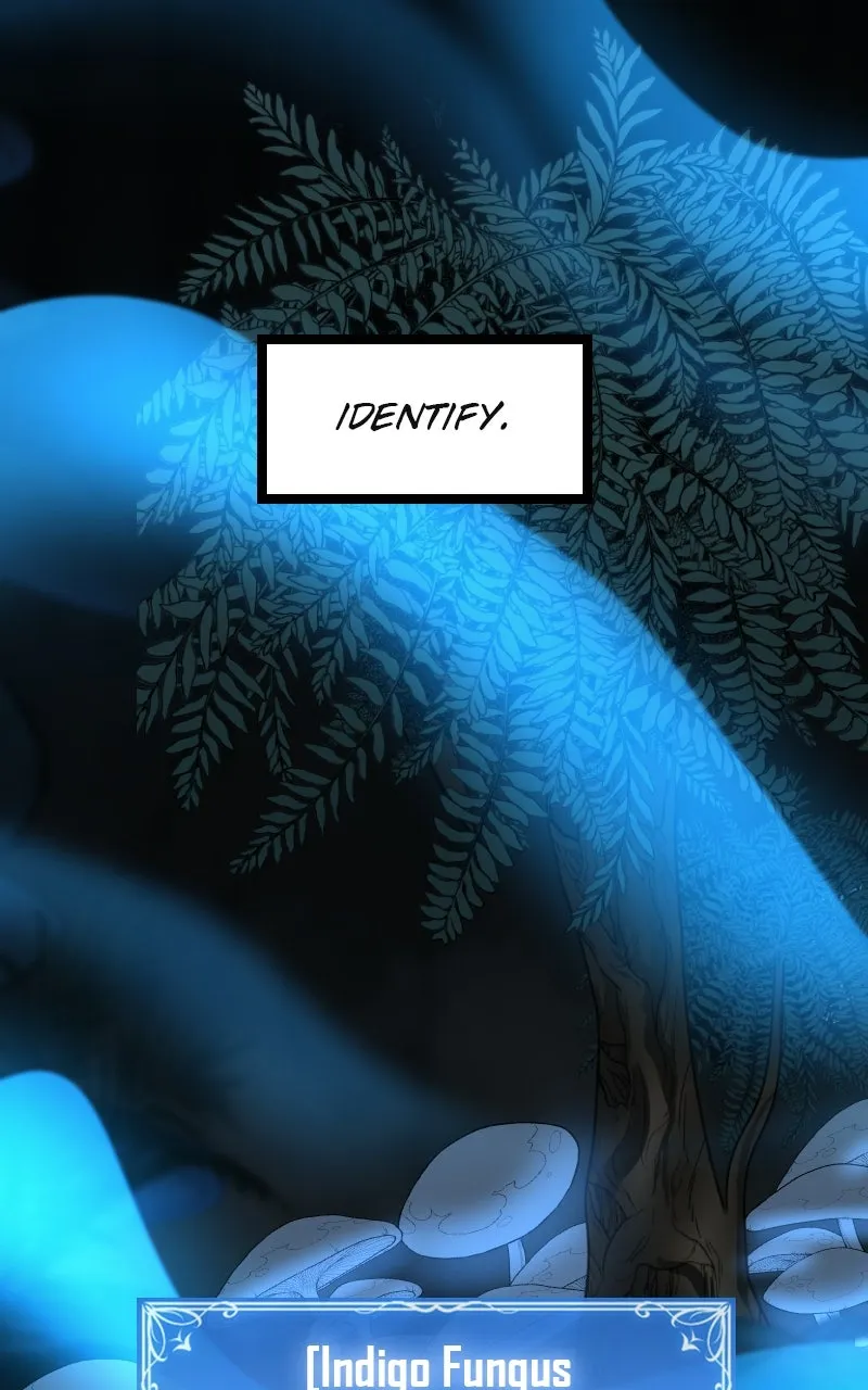The Primal Hunter Chapter 76 page 52 - 