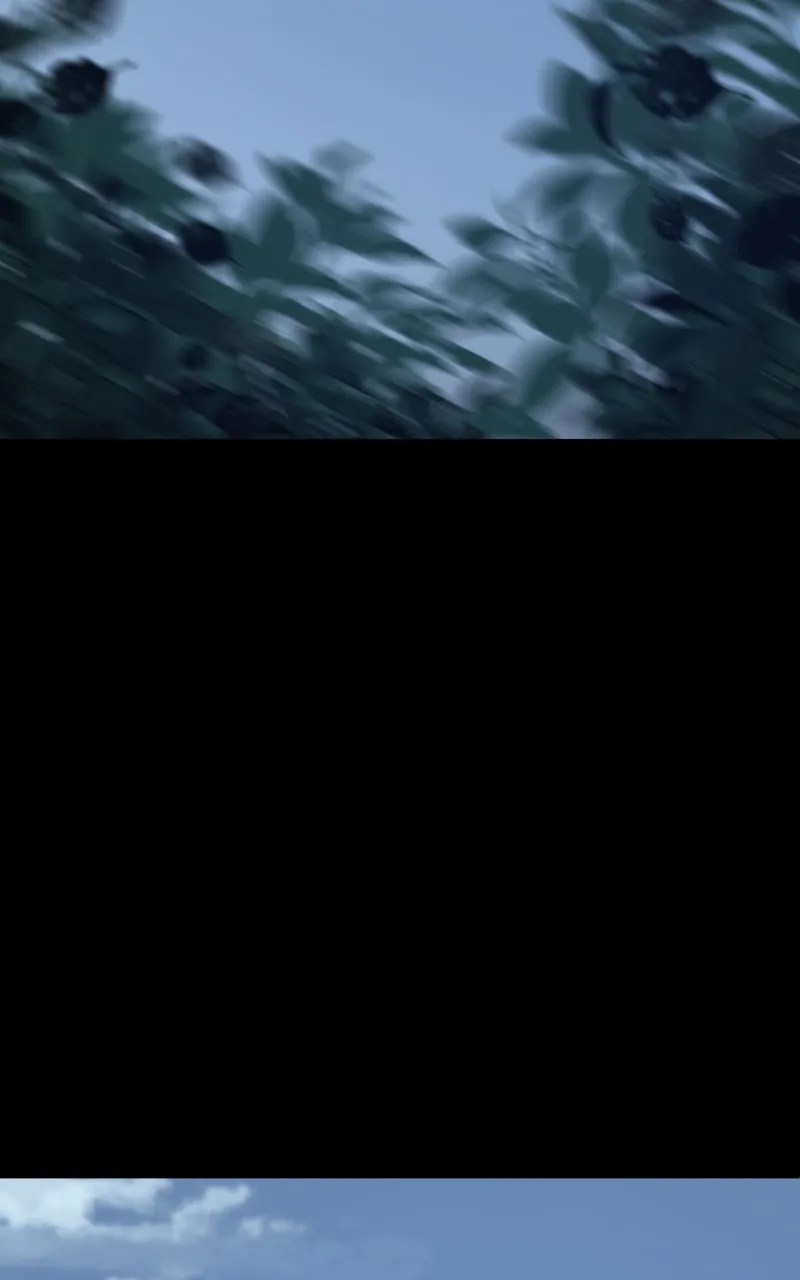 The Primal Hunter Chapter 78 page 61 - 