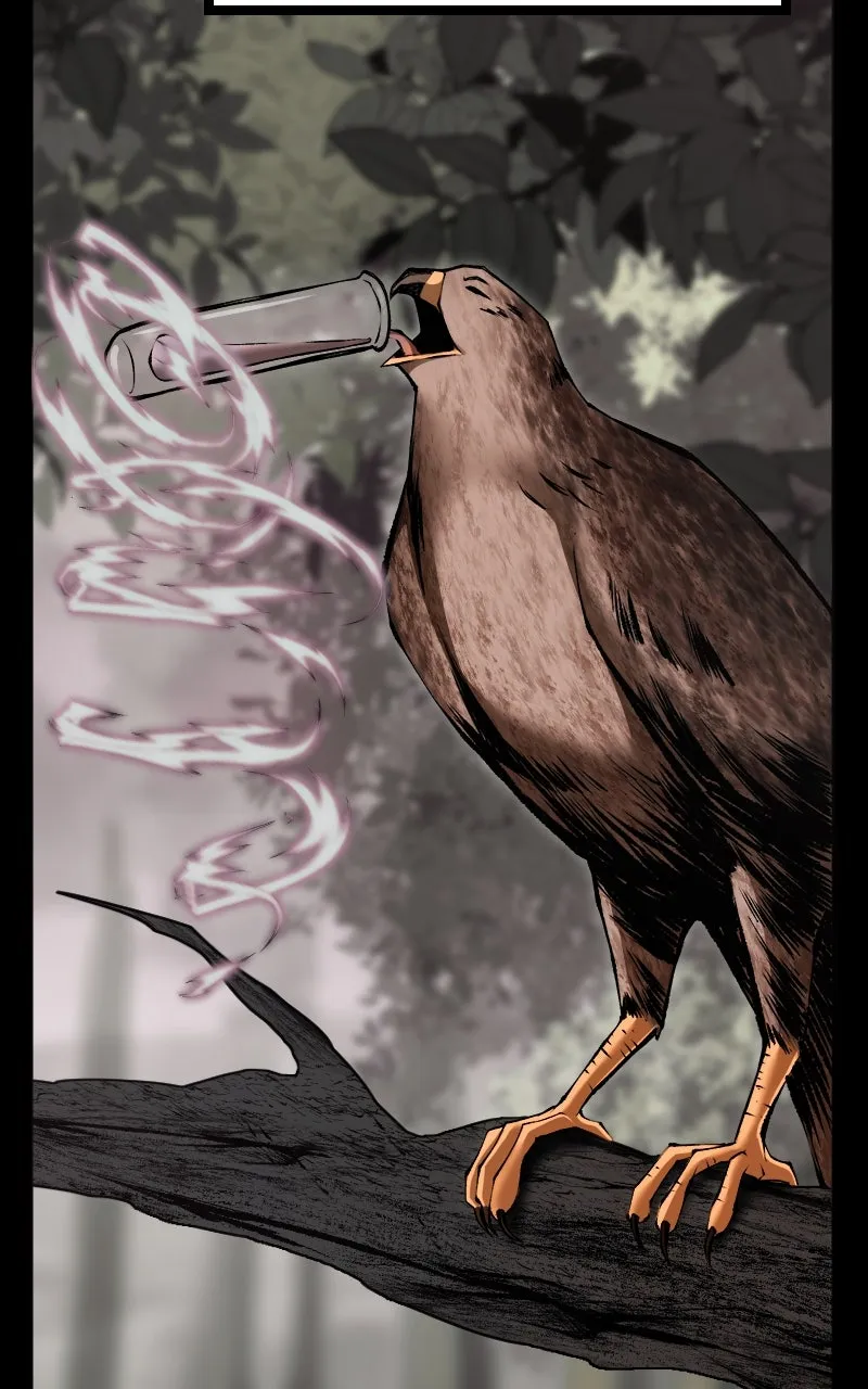 The Primal Hunter Chapter 79 page 11 - 