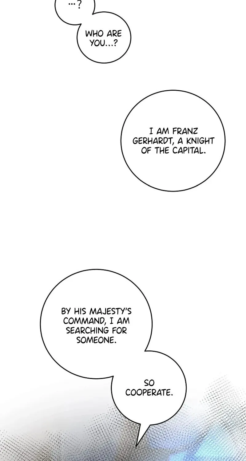 The Prince Doesn
