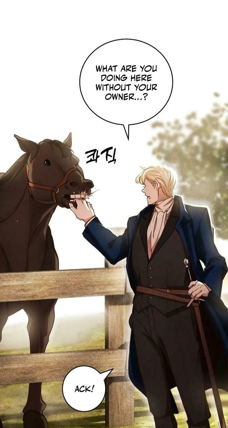 The Prince Doesn