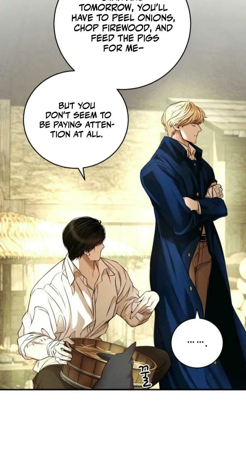 The Prince Doesn