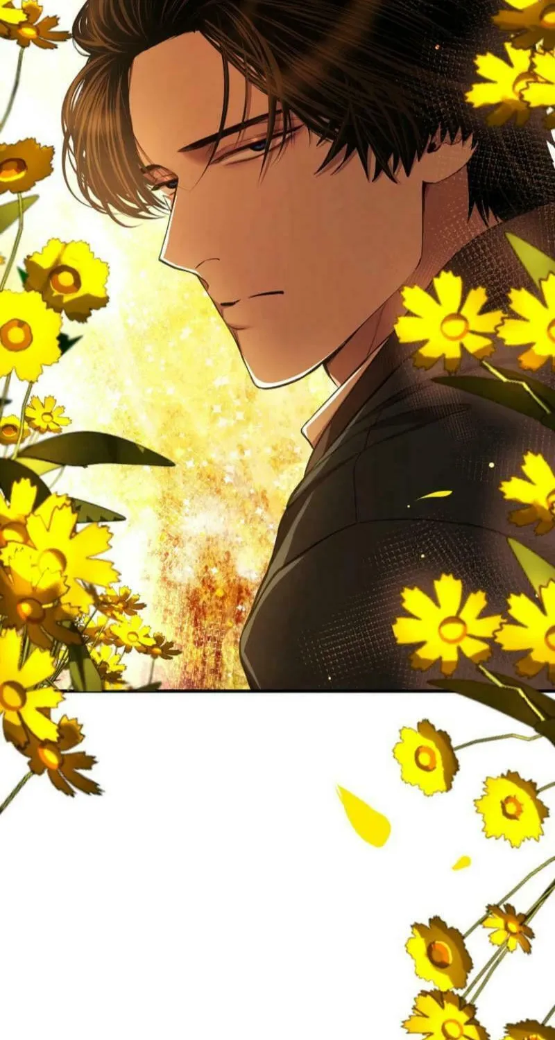 The Prince Doesn