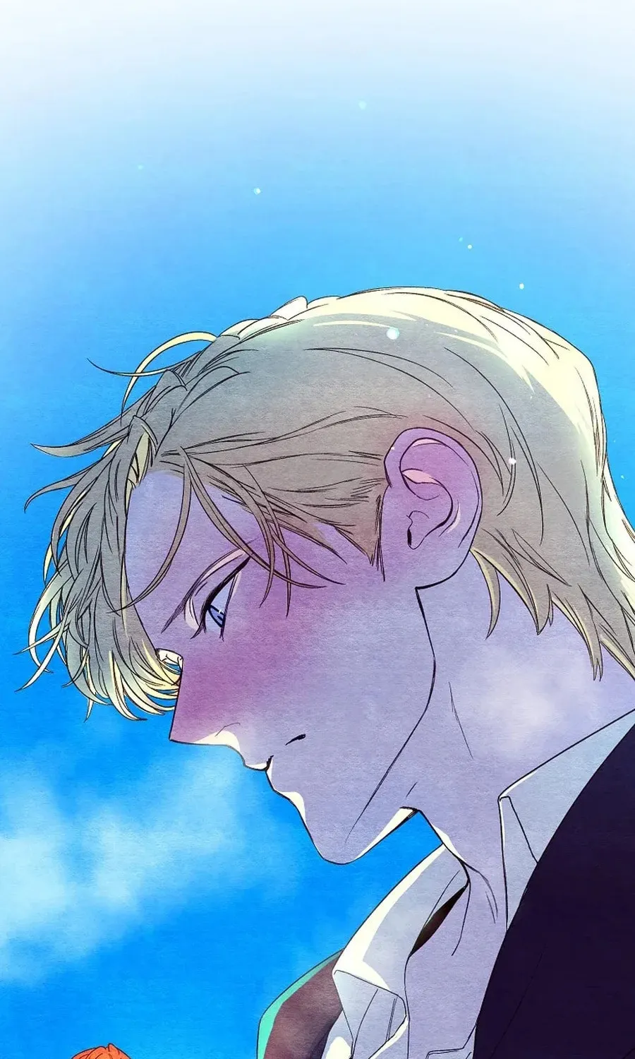 The Prince Doesn