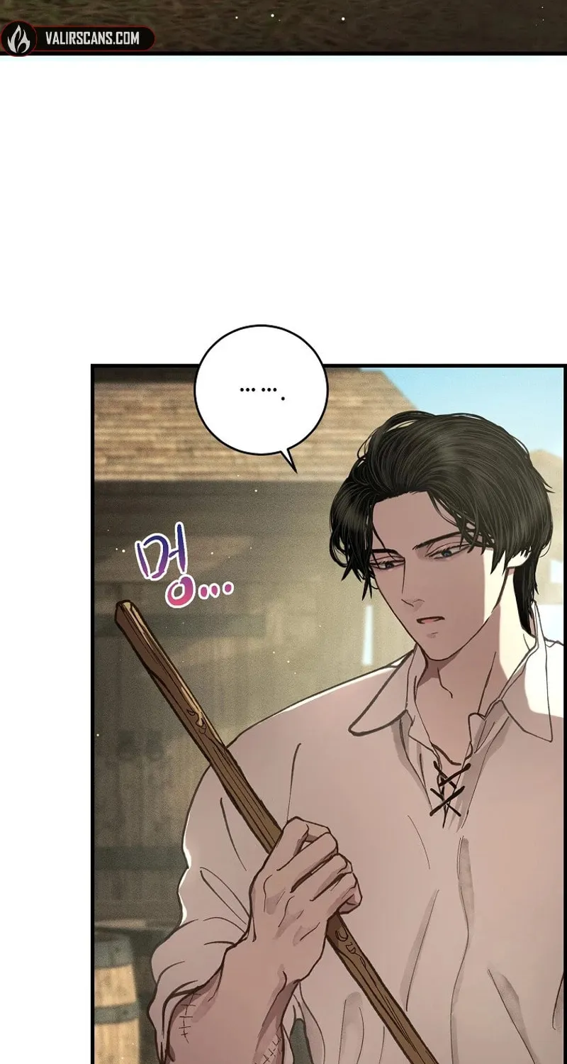 The Prince Doesn