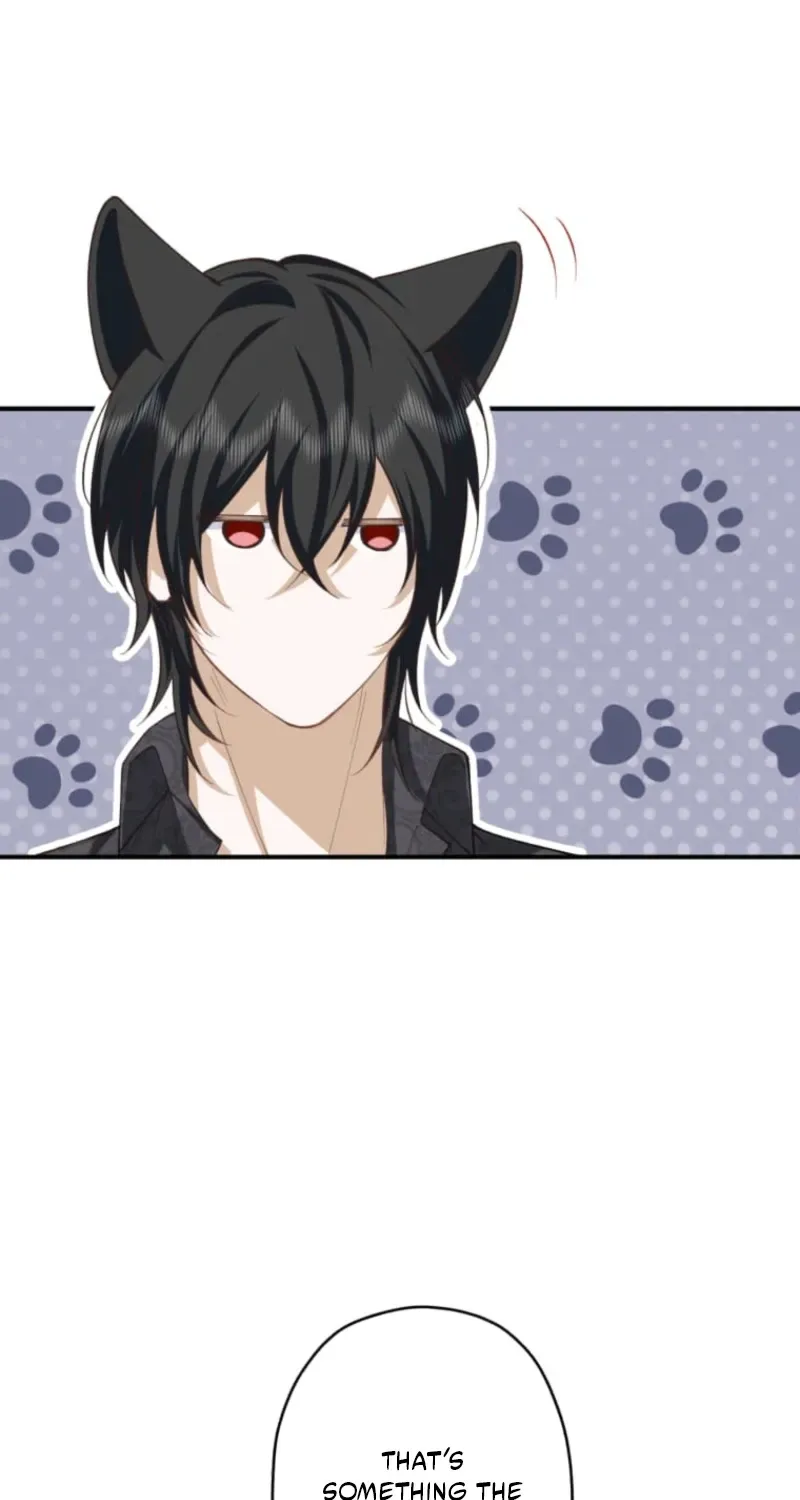 The Prince I Engaged Was A Former Assassin Chapter 11 page 7 - 